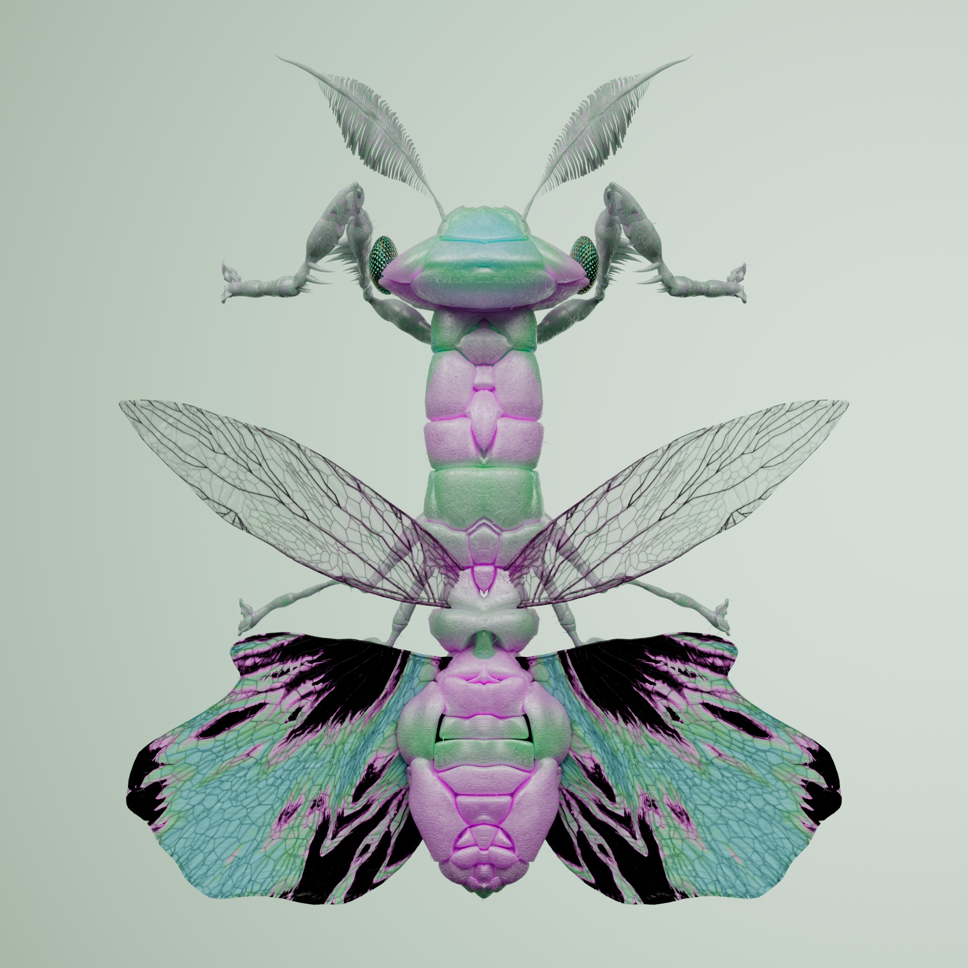 Mantodeaanthidae panata