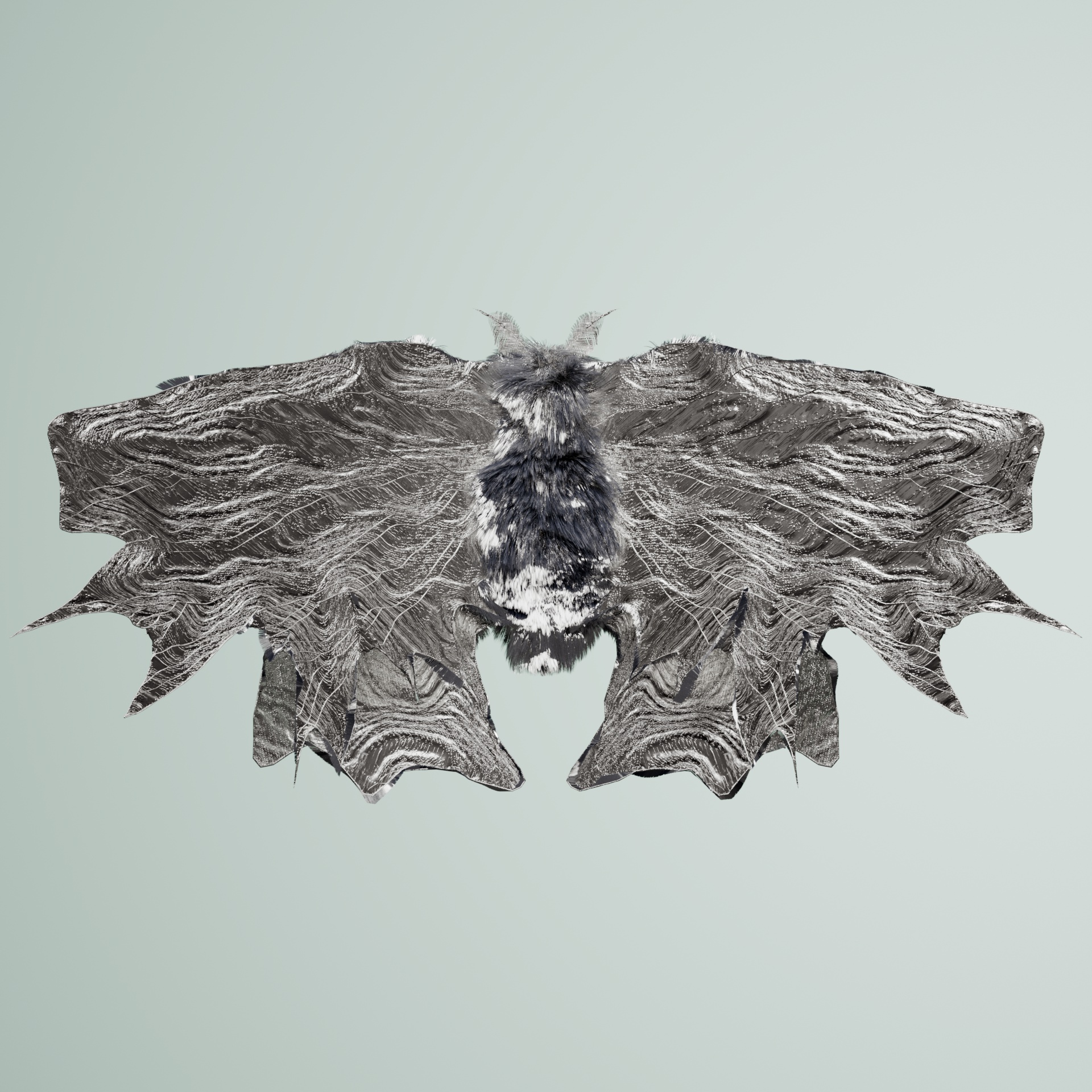 Lepidopterapinguis orneus