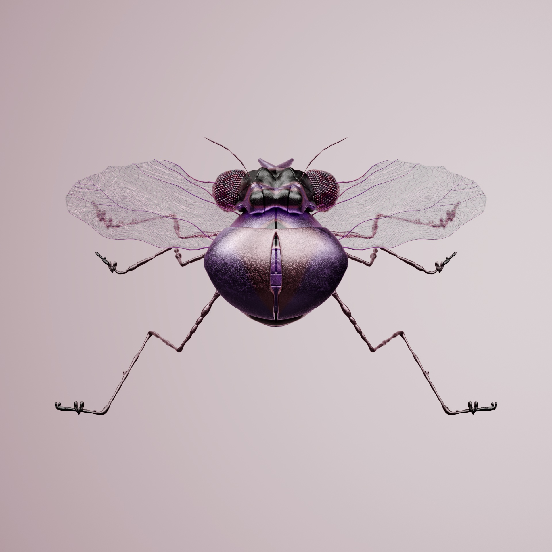 Coleopteravivida familal