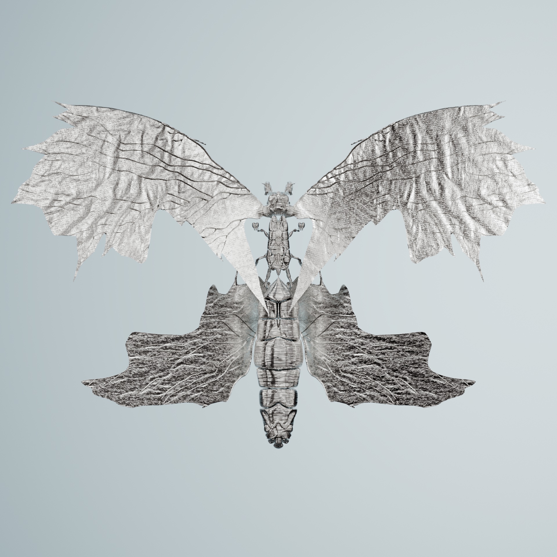 Rhopaloceraproceritas jubuinus