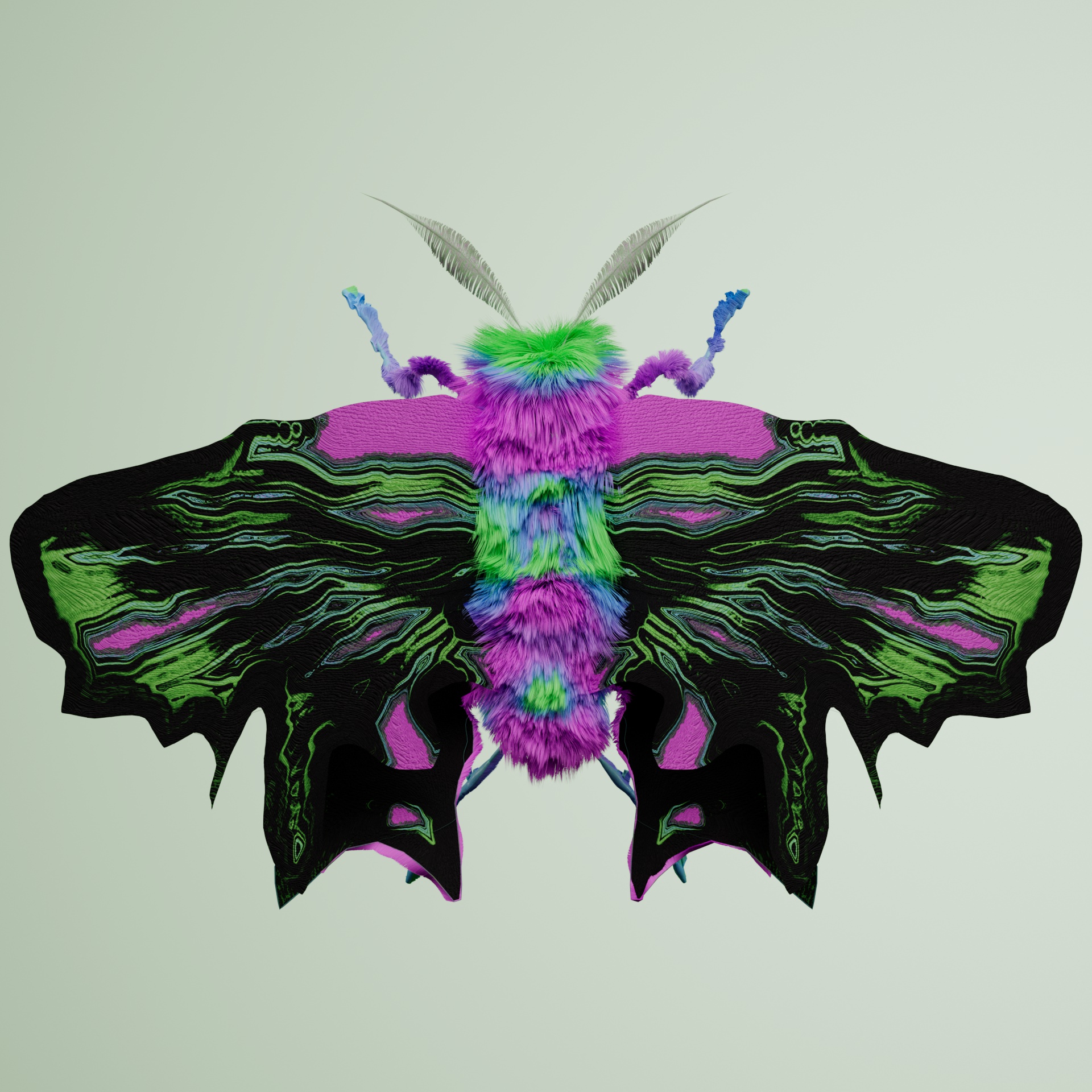 Lepidopteravivida derbisci