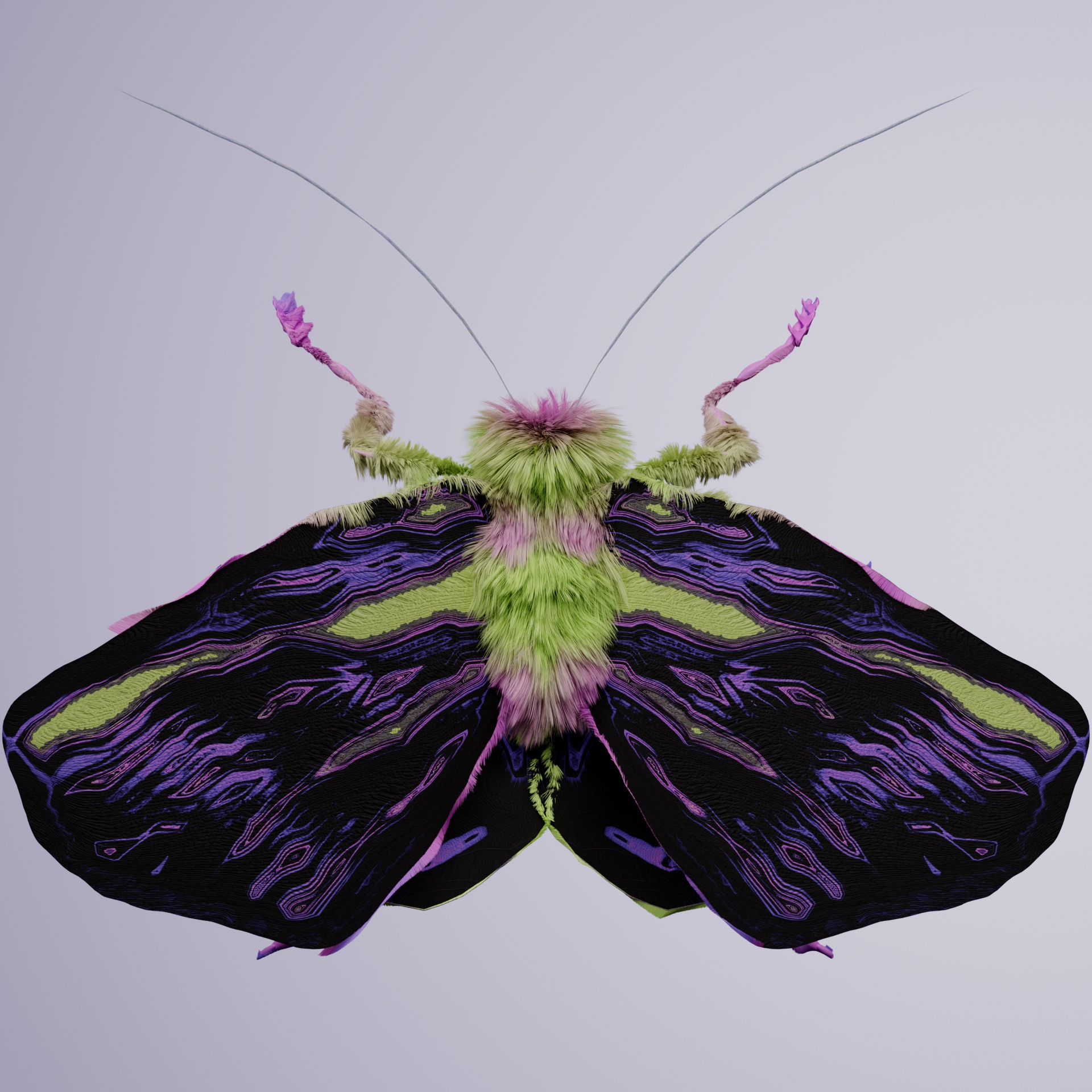 Lepidopteraacal unicoldti