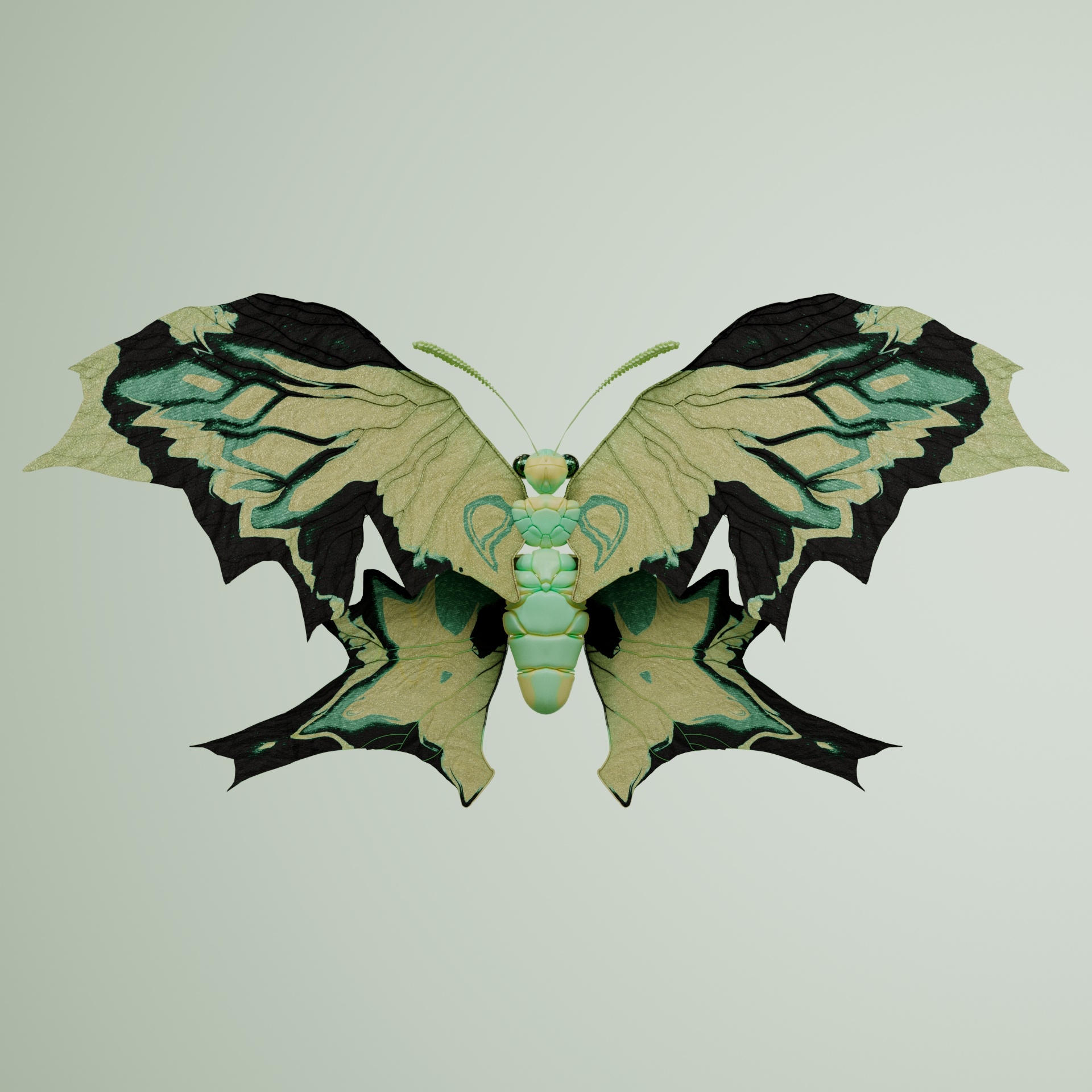 Rhopalocerapinguis liberius