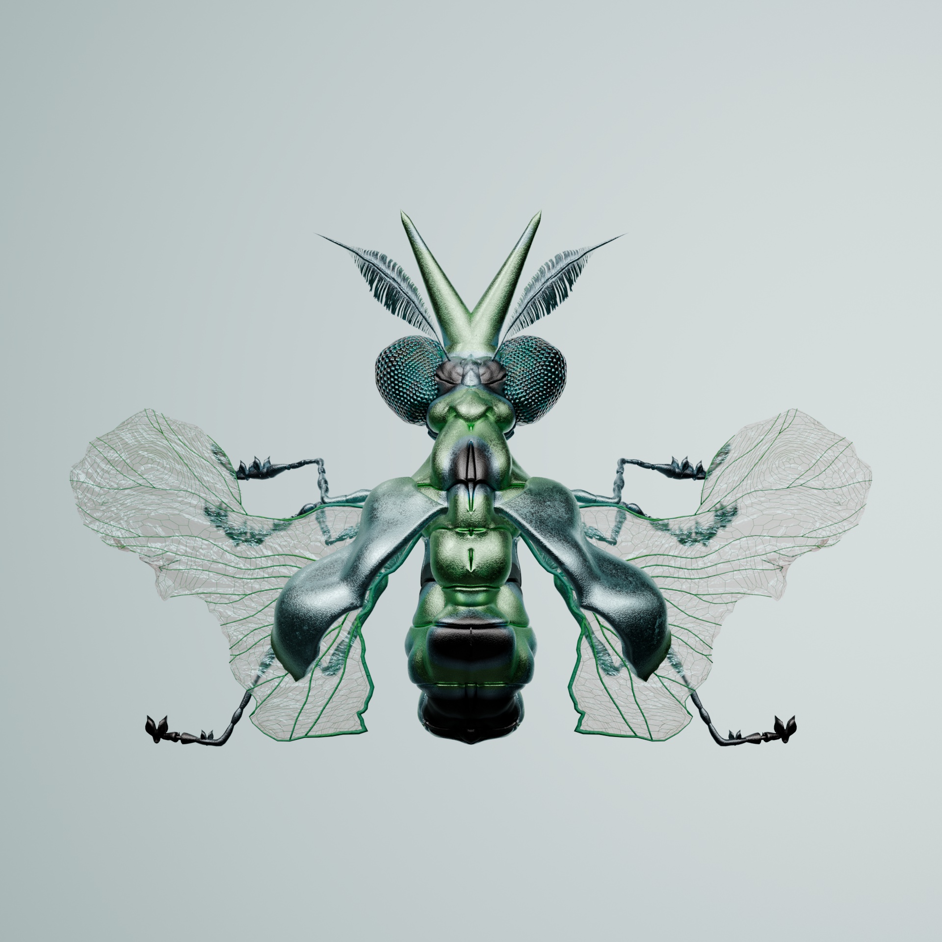 Coleopteraopterus axelrayanus