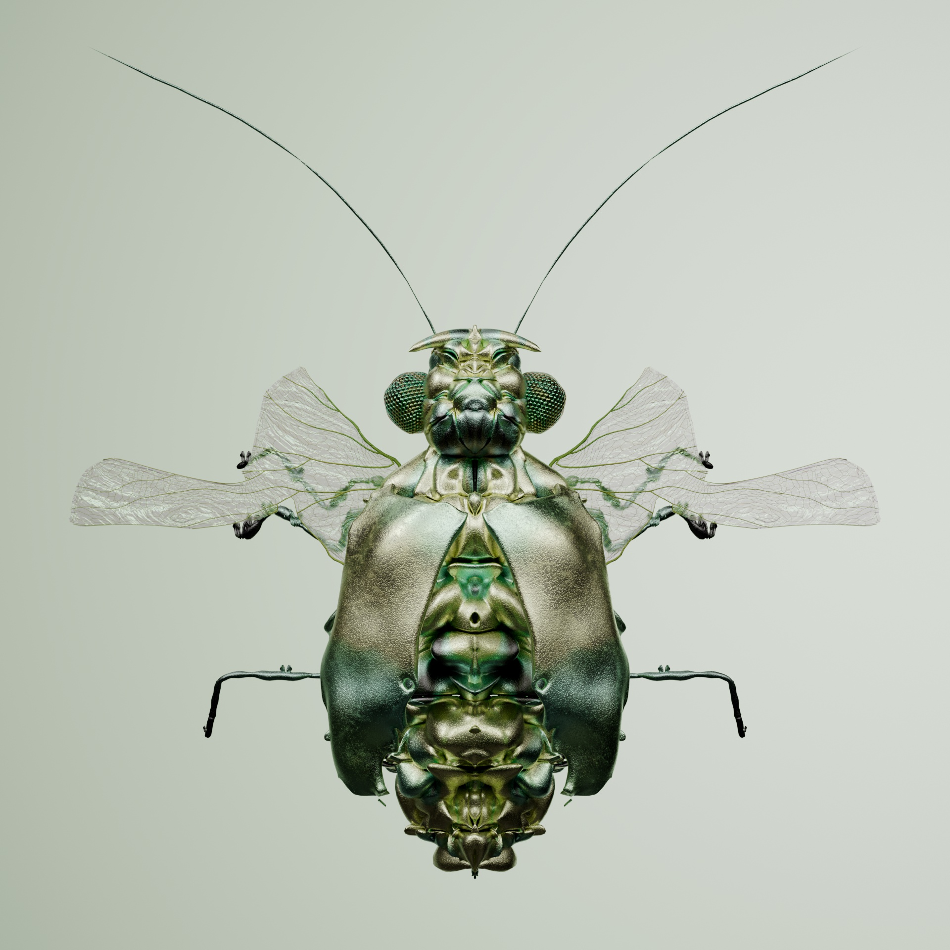 Coleopteraproceritas camelurnix