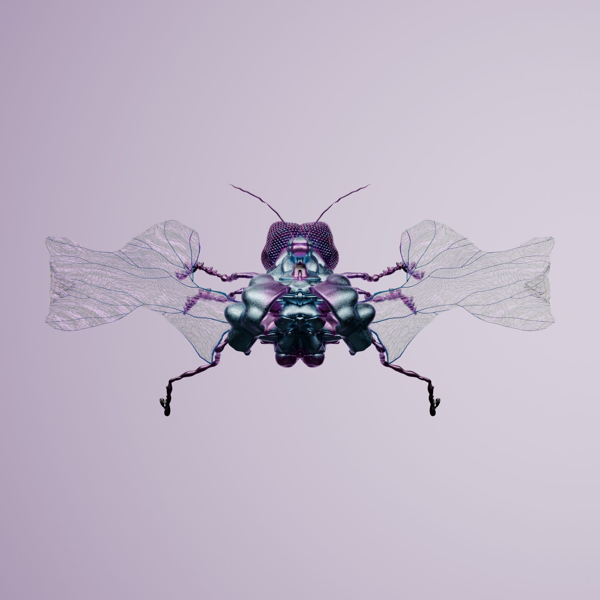 Coleopteraari feraeus