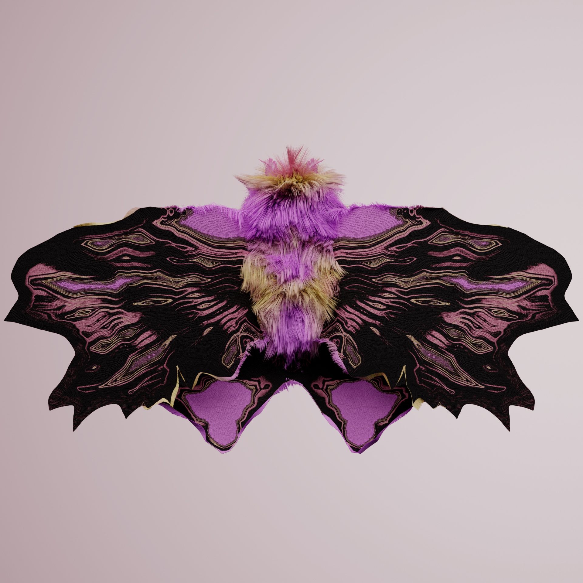 Lepidopterasuperbus tajilis