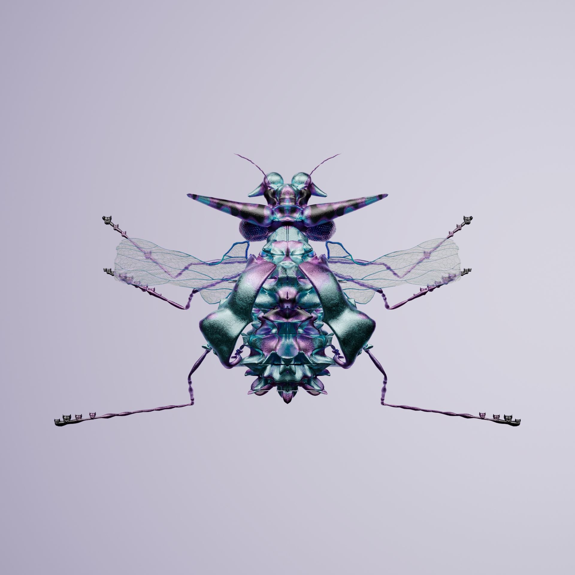 Coleopterailidae diphorius