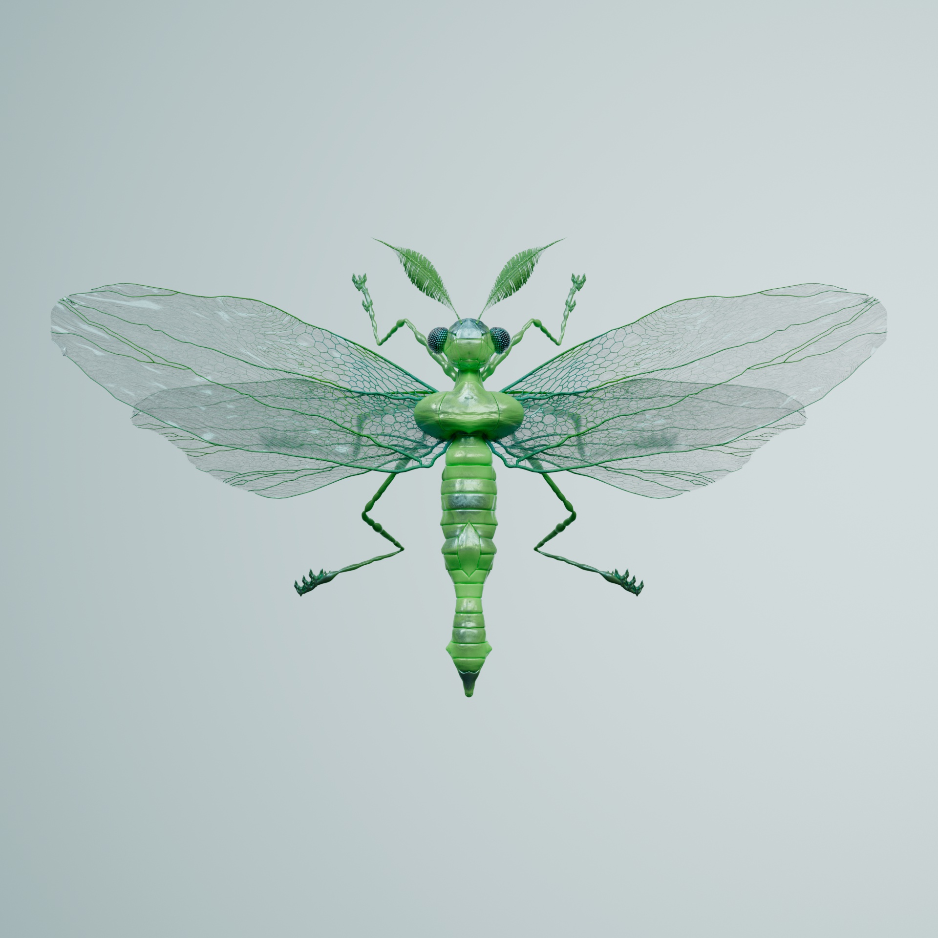 Anisopteraavia tetrisci