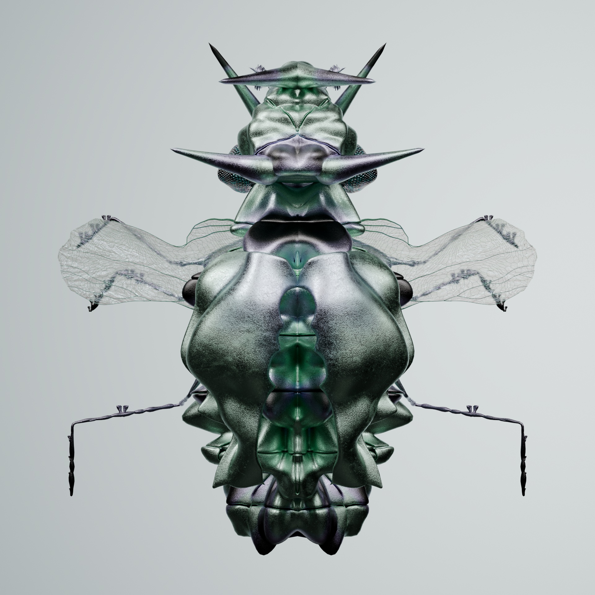 Coleopteracerritulus obscurodytes