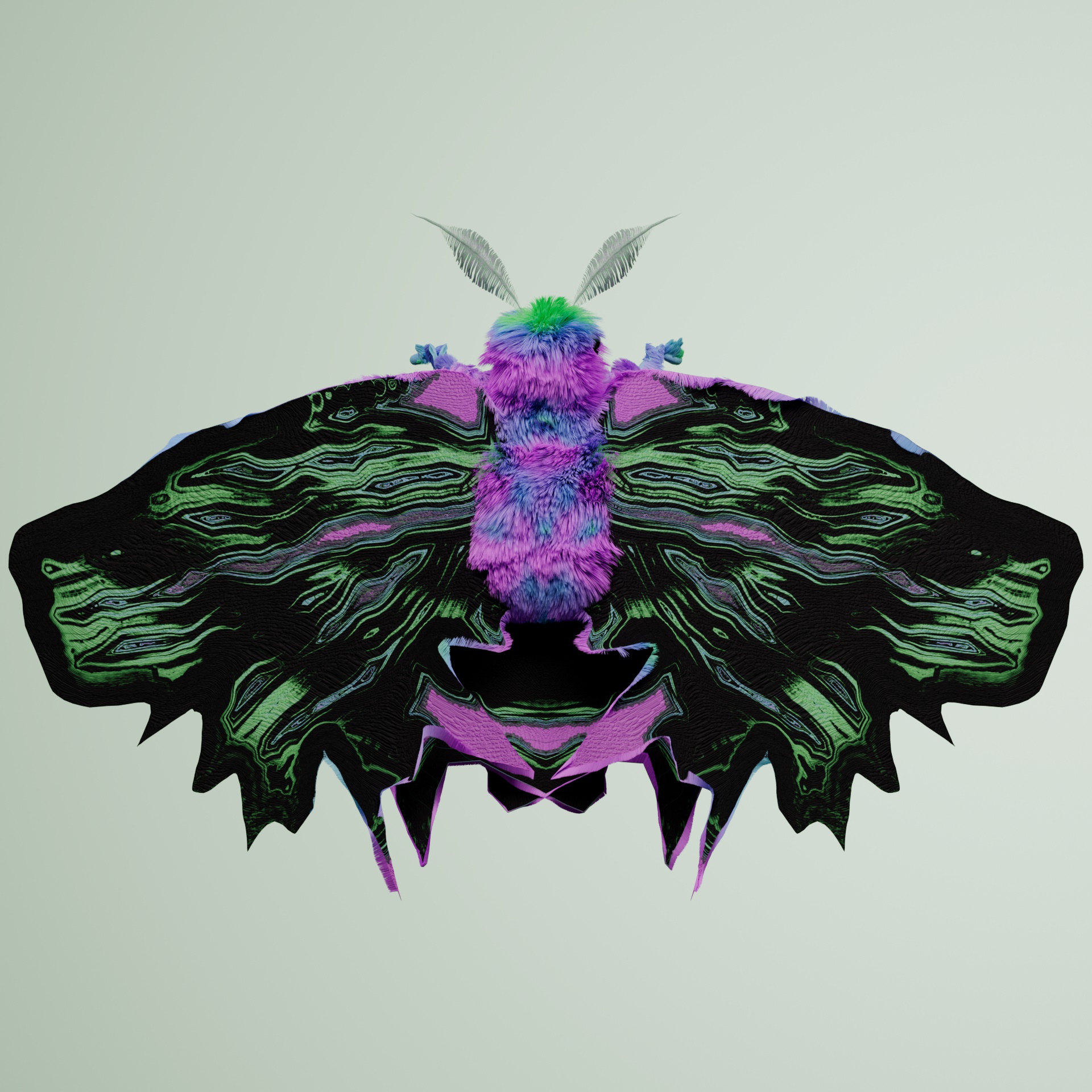 Lepidopterapinguis taro