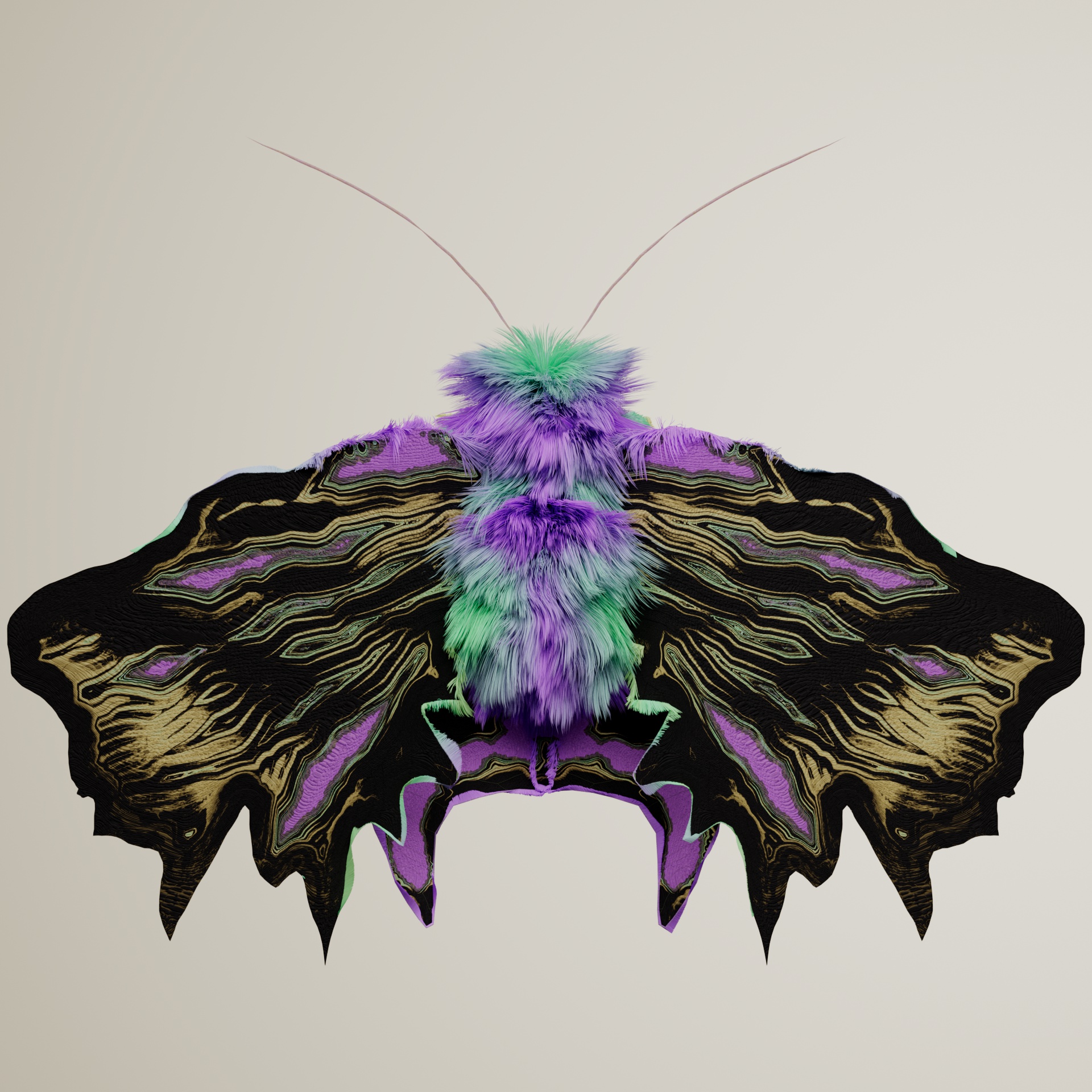 Lepidopteraaius alpiceps