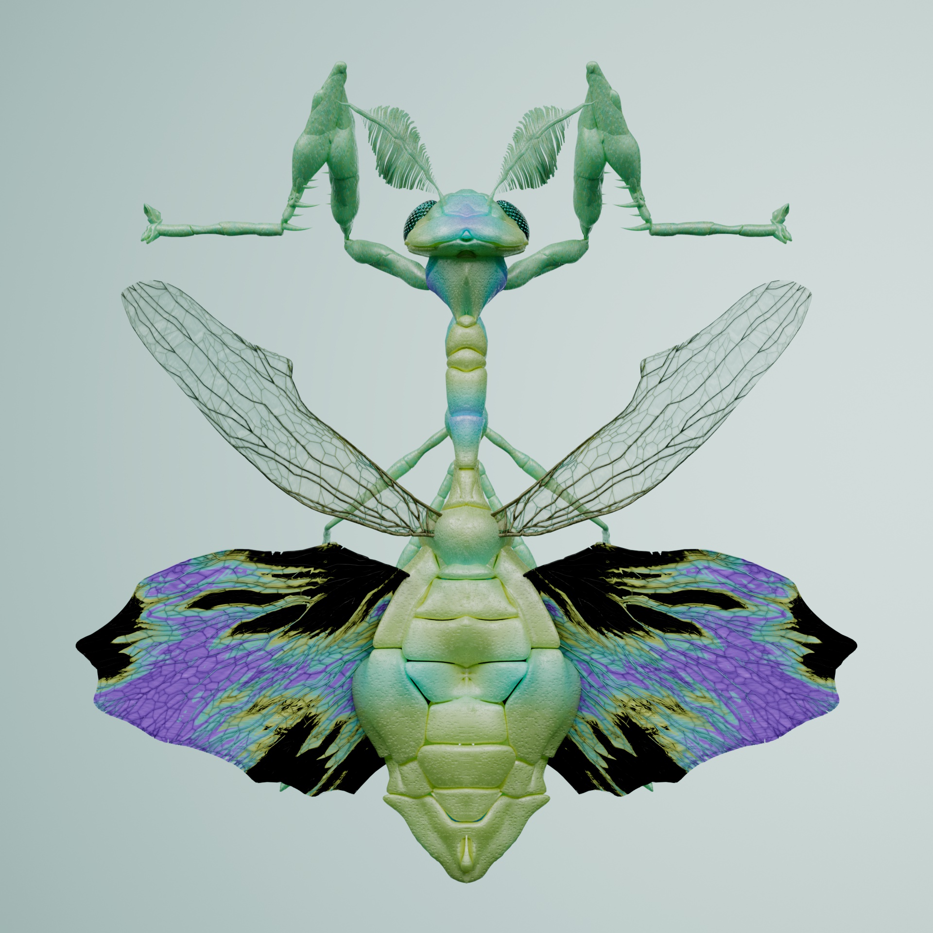 Mantodeapinguis cristarus