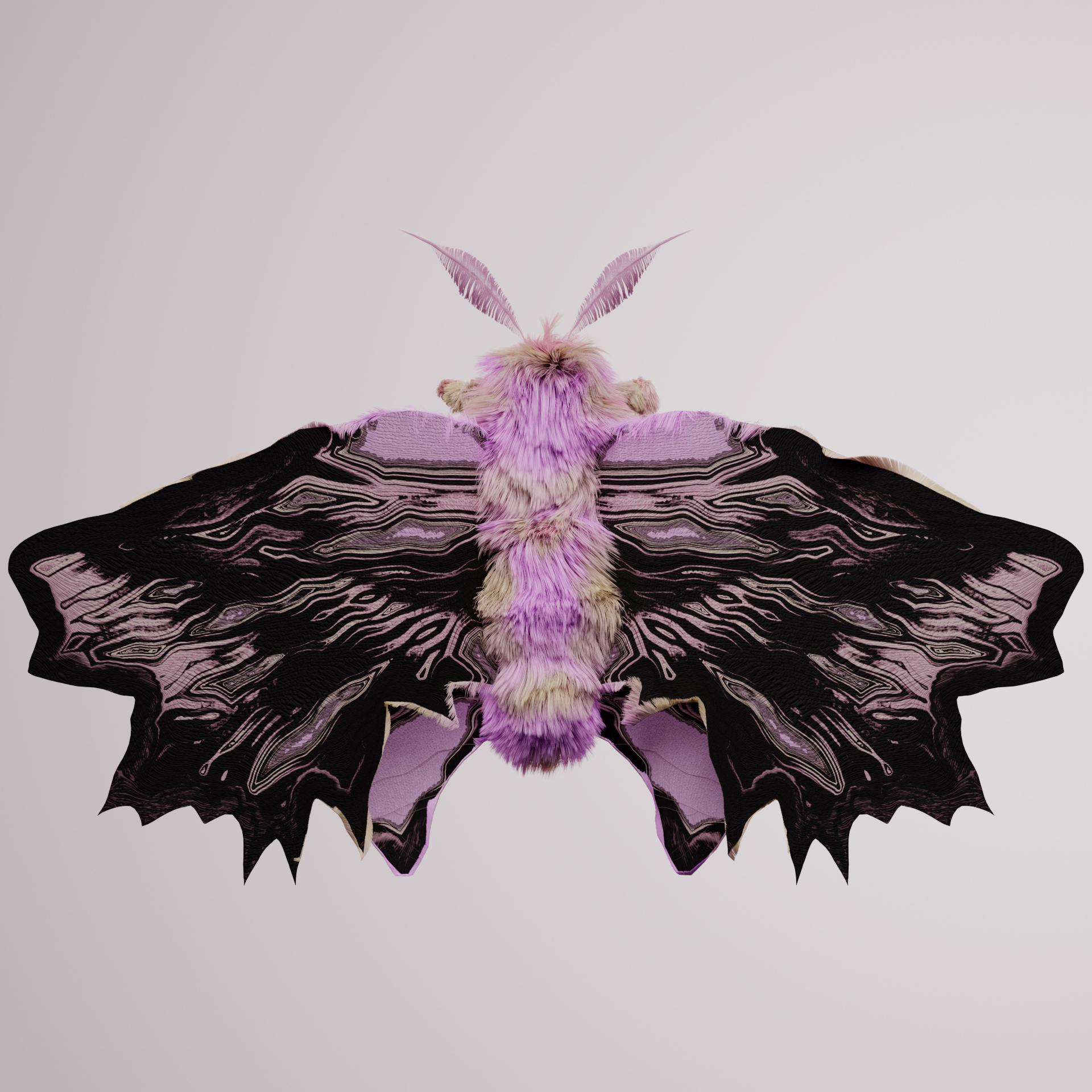 Lepidopteraeidae reticeria