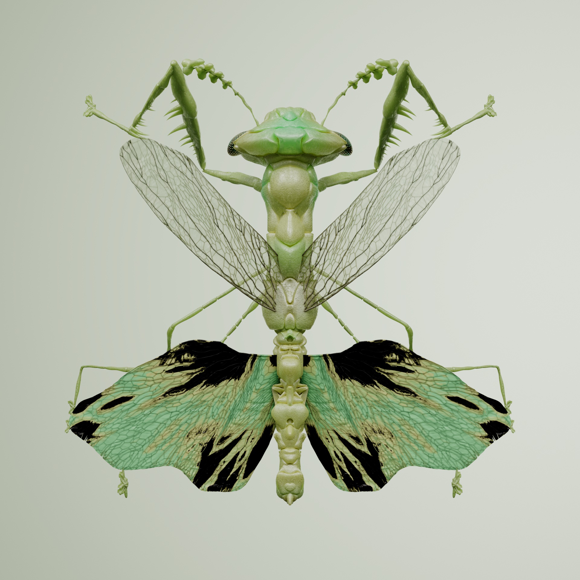 Mantodeaeirodon iguanii