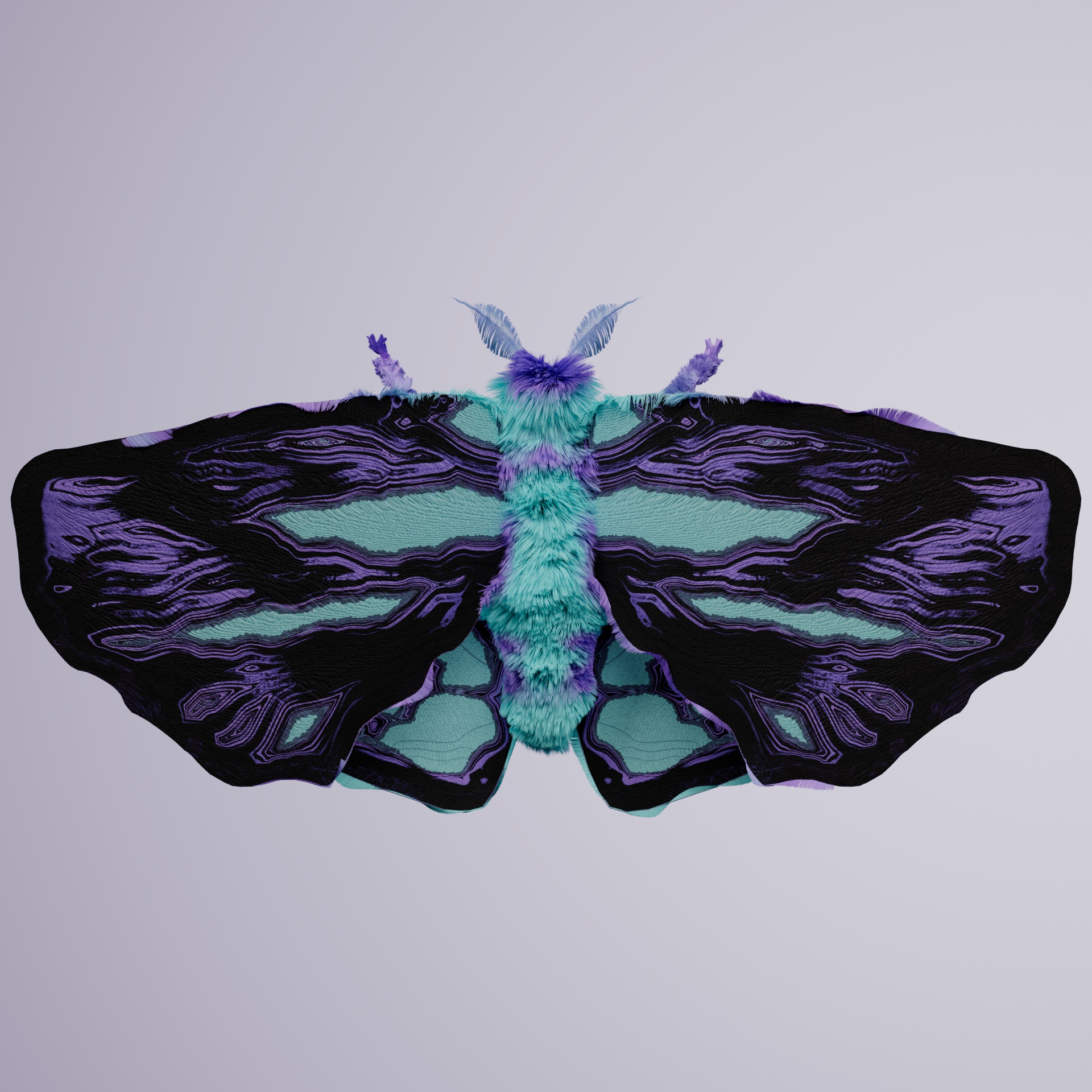 Lepidopteracerritulus demidus