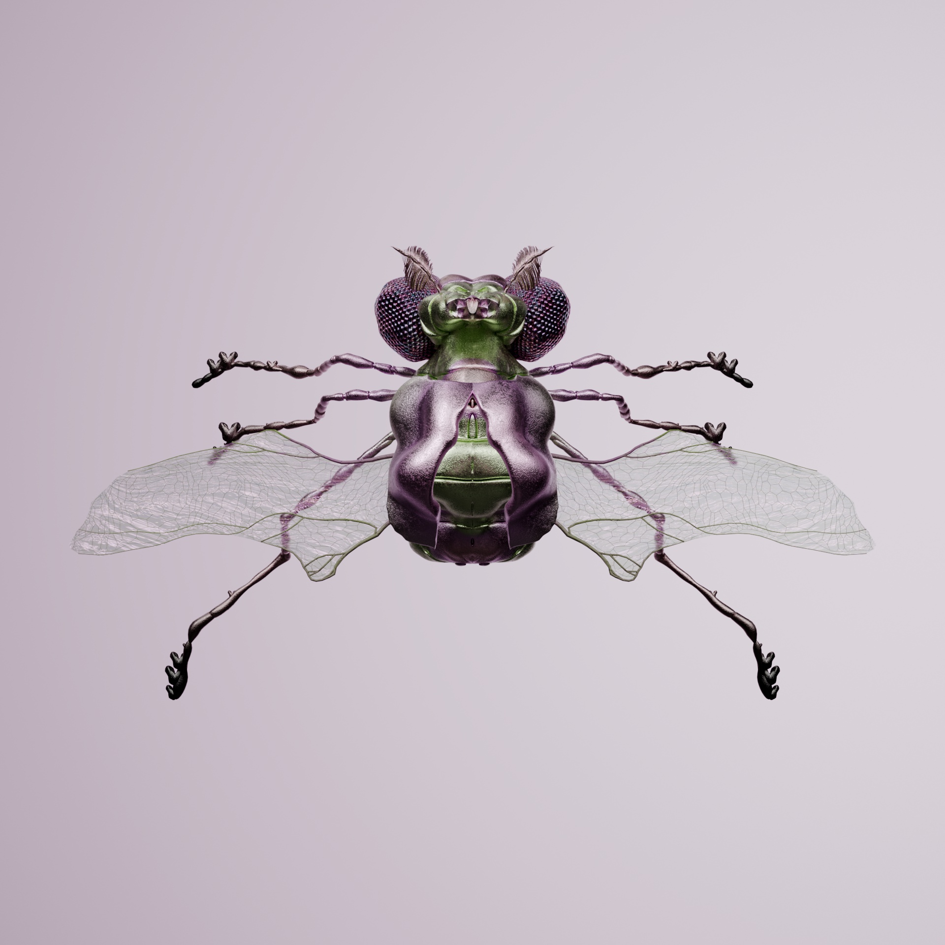 Coleopteraorhinus papan