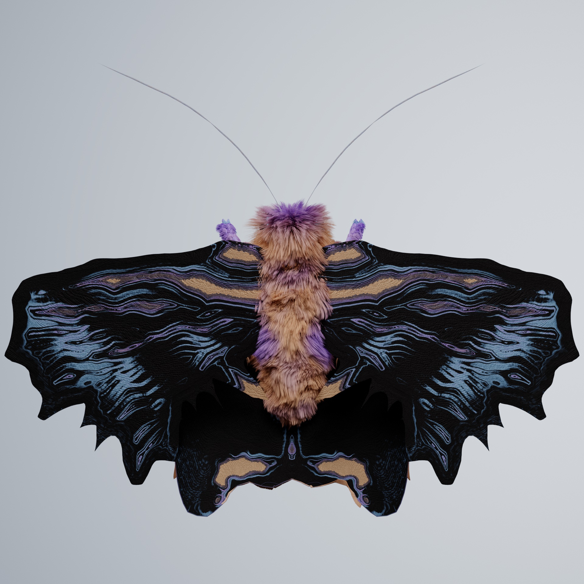 Lepidopterailla anataica