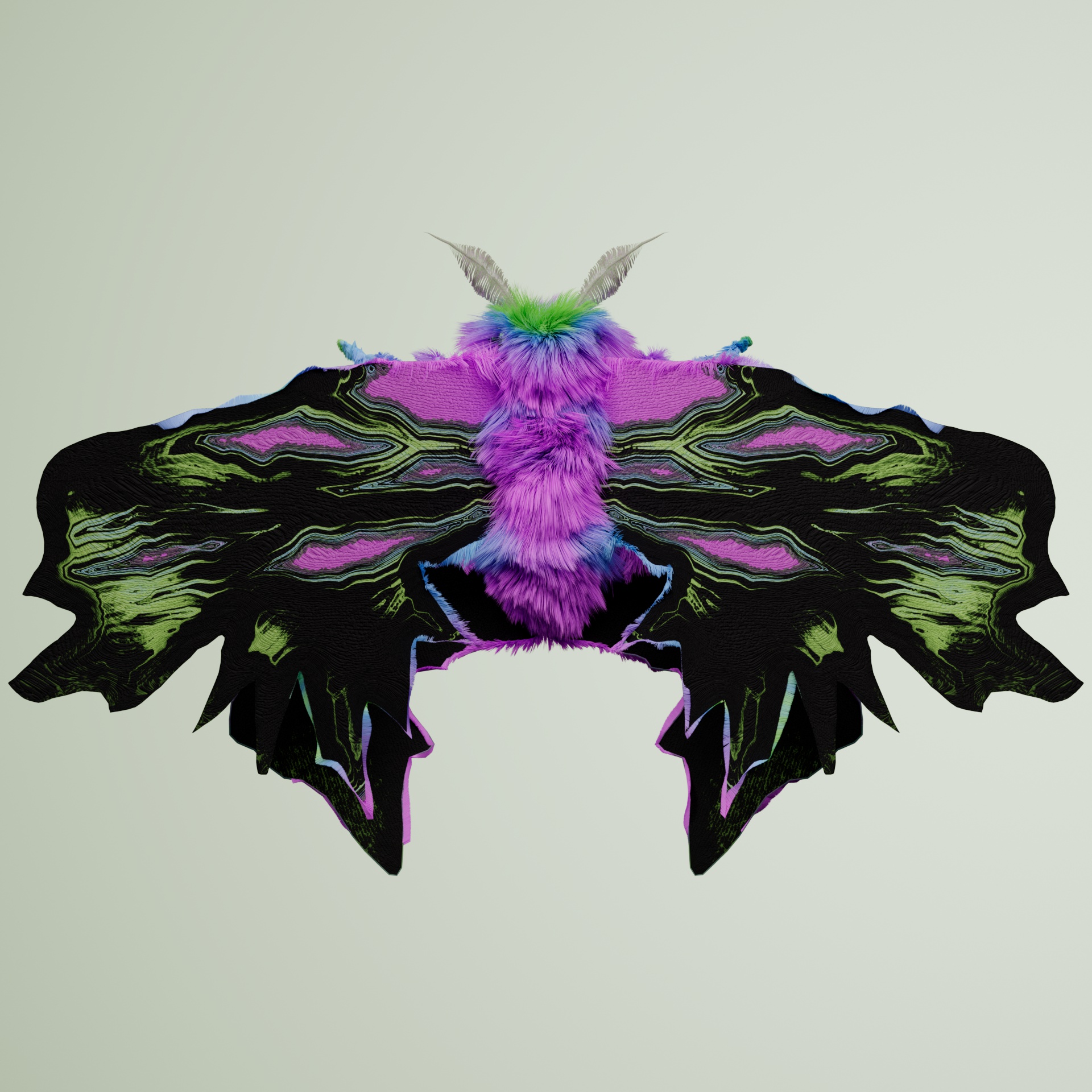 Lepidopterauroidea papereri