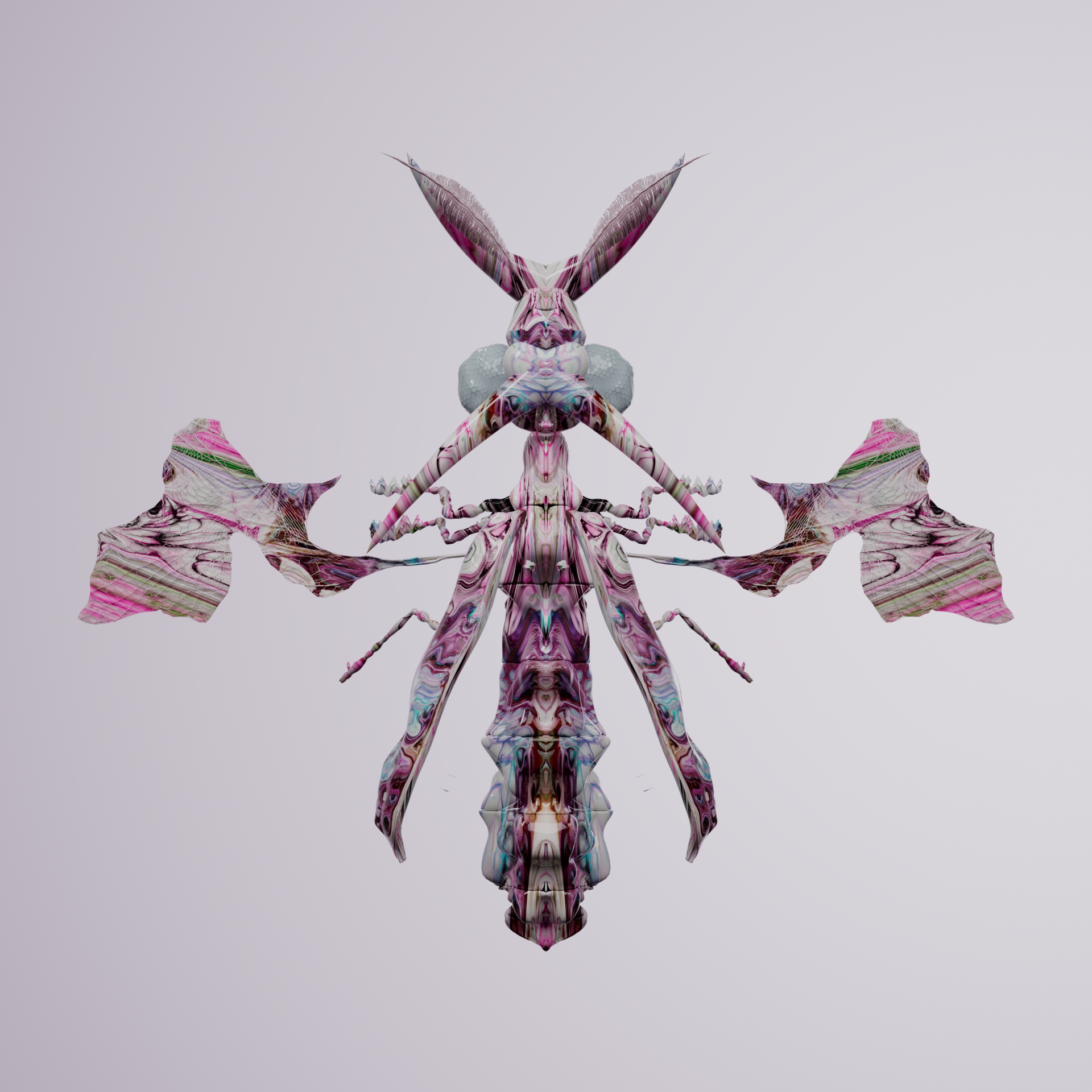 Coleopteravivida strepsotata