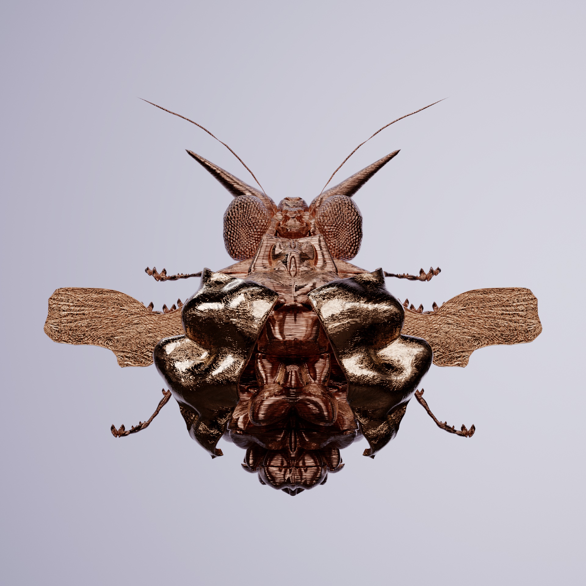 Coleopteraonia scyphanus