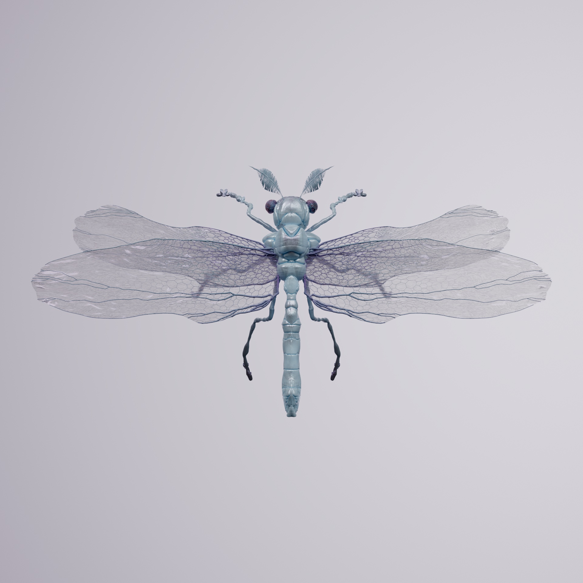Anisopteraastes cabuco