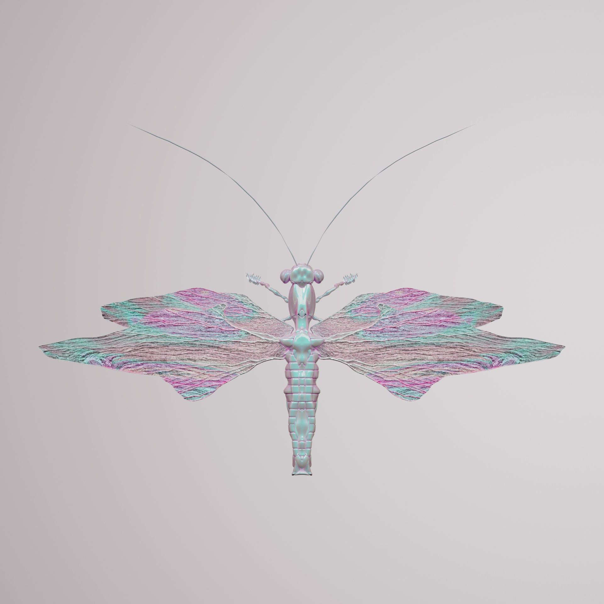 Anisopteravivida cucullagrus