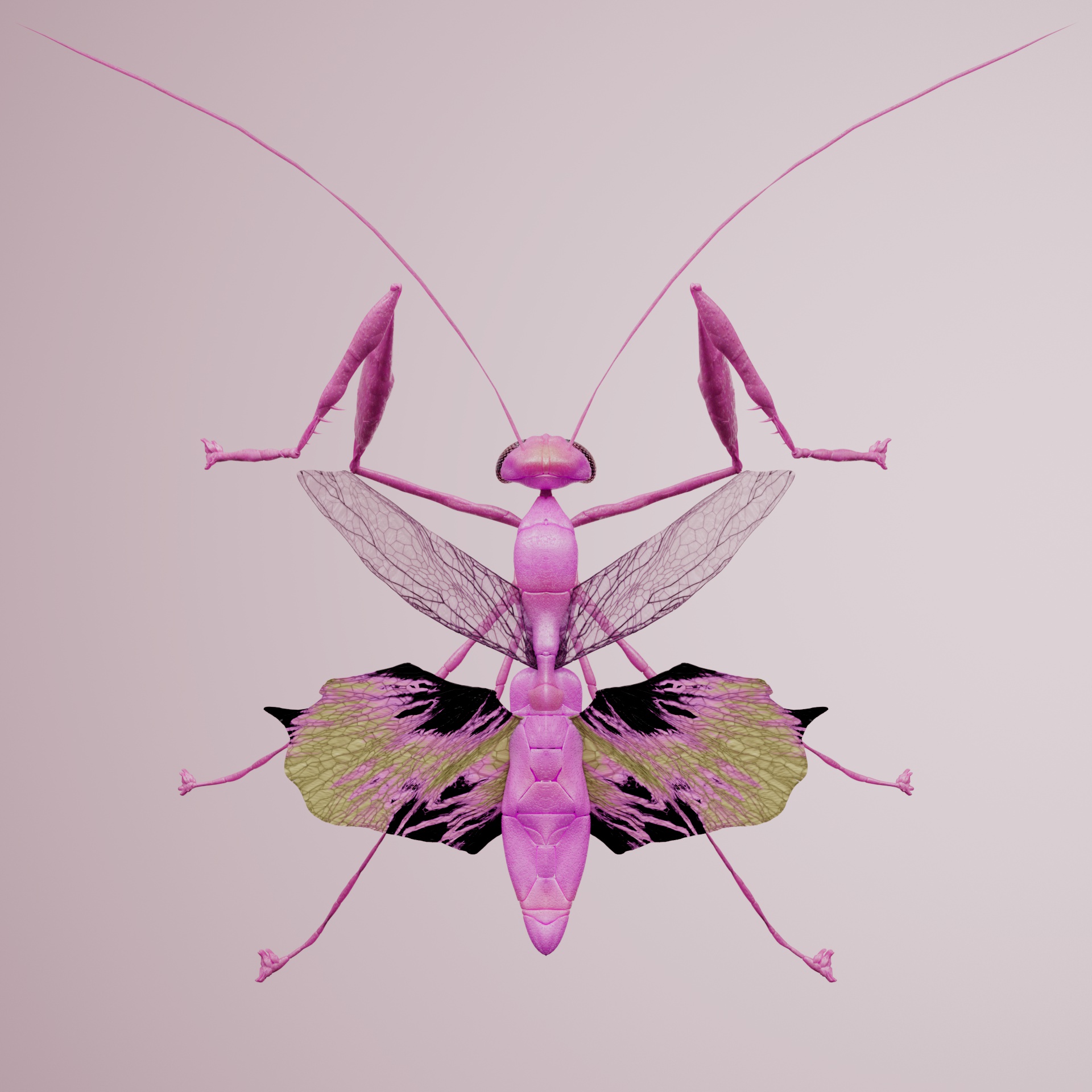 Mantodeaina tangaris