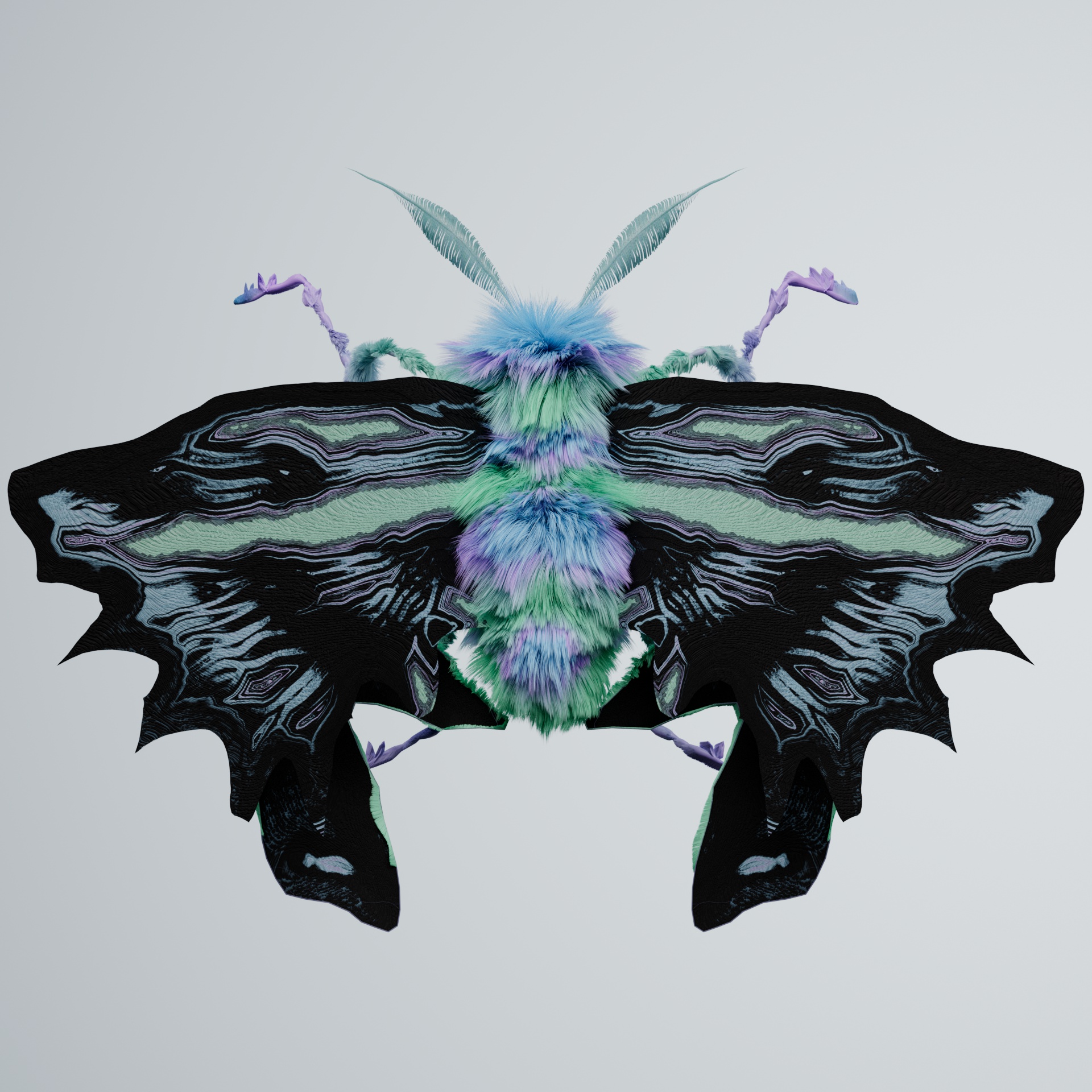 Lepidopteravivida agassaicus