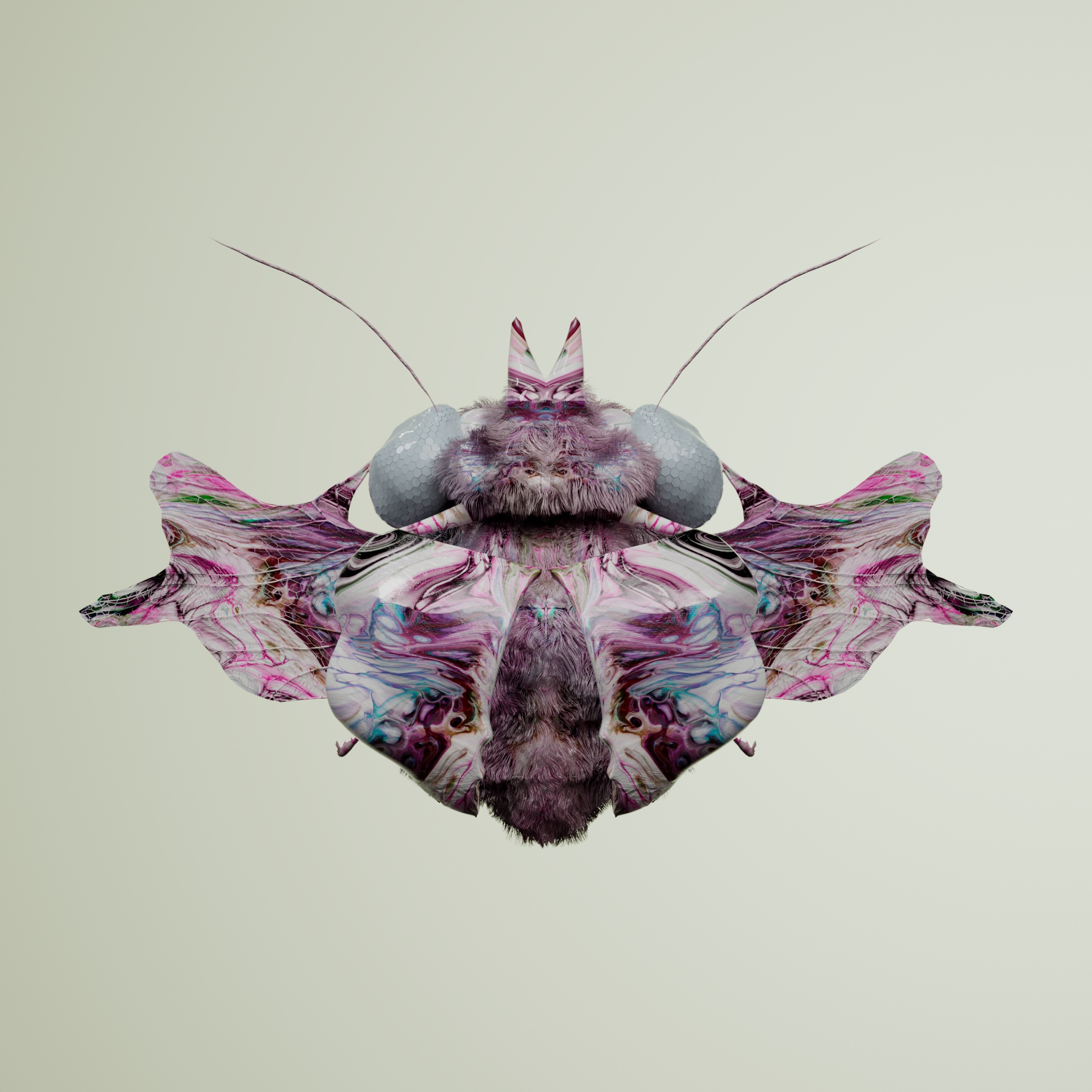 Coleopteravivida hircalus