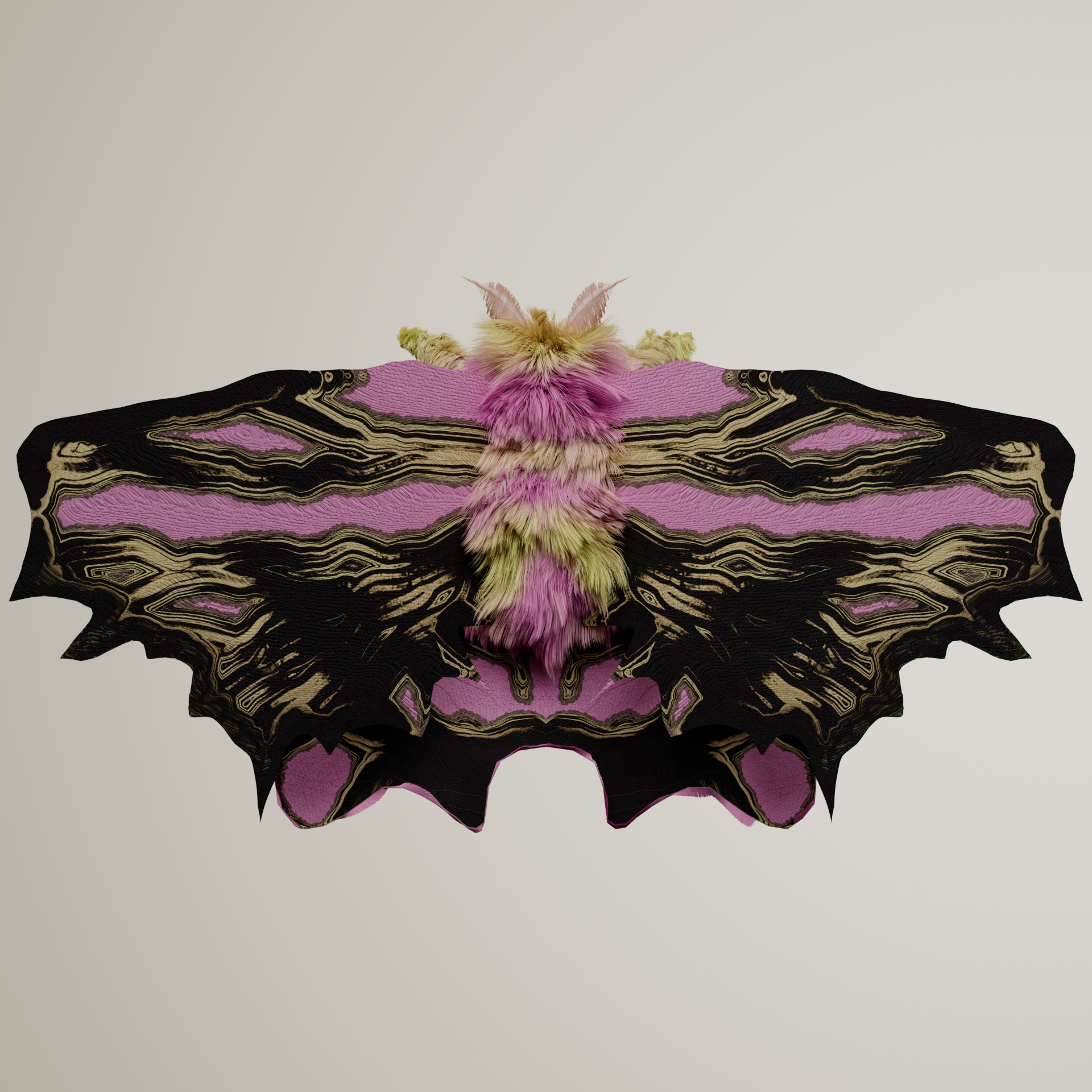 Lepidopterapinguis cyclan