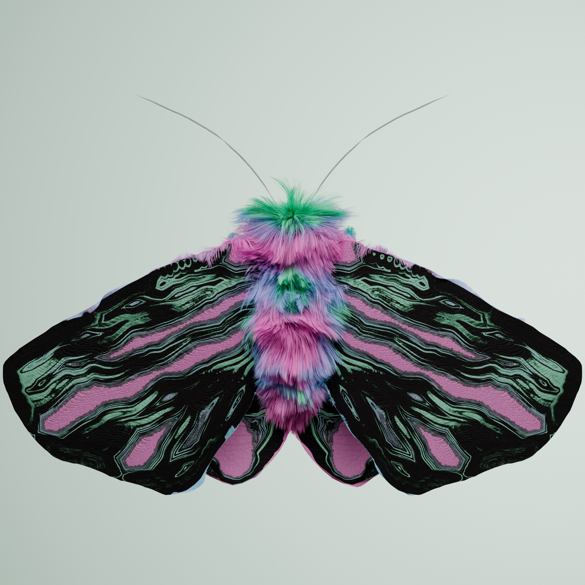 Lepidopteravivida acanthactyla