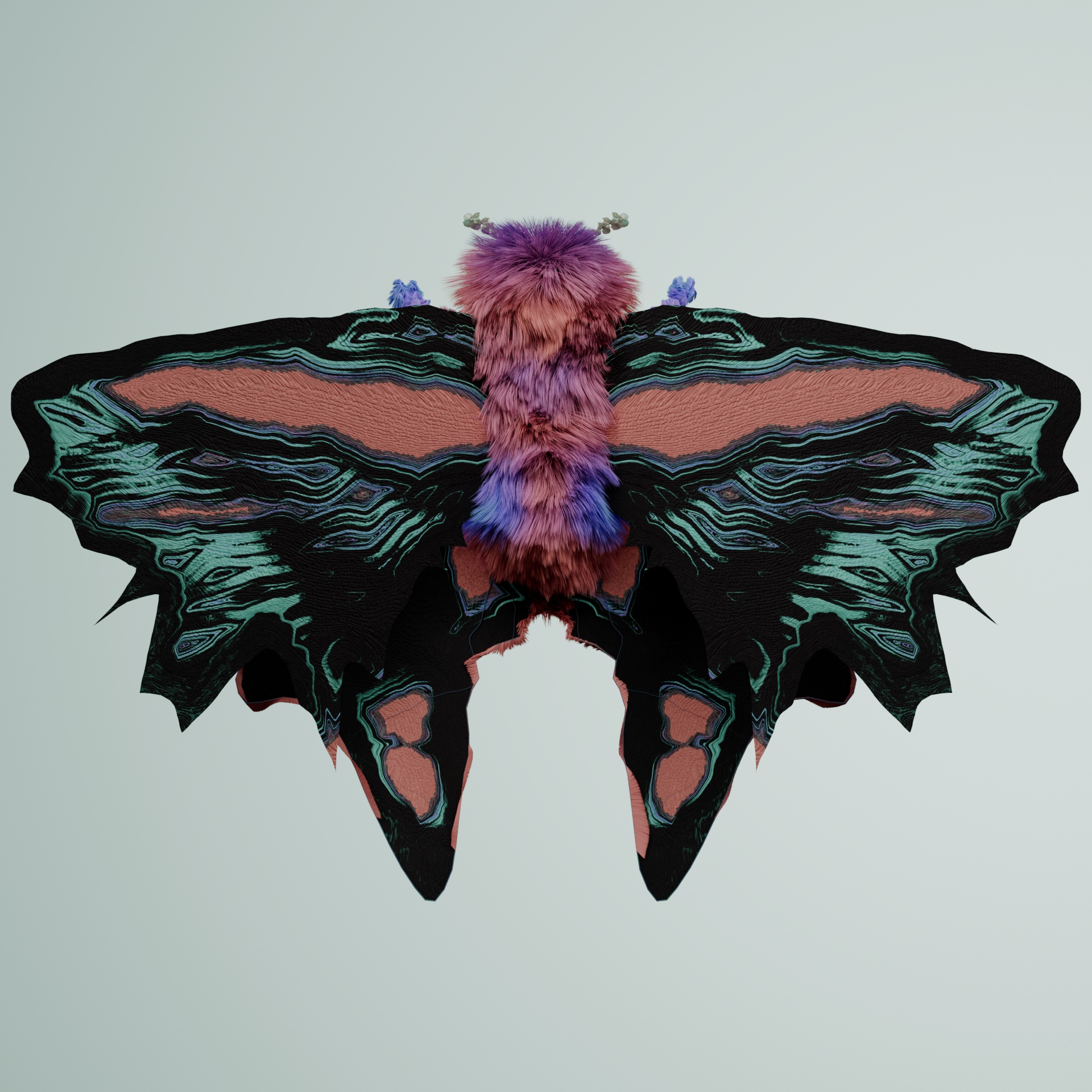 Lepidopterasuperbus carchynchos