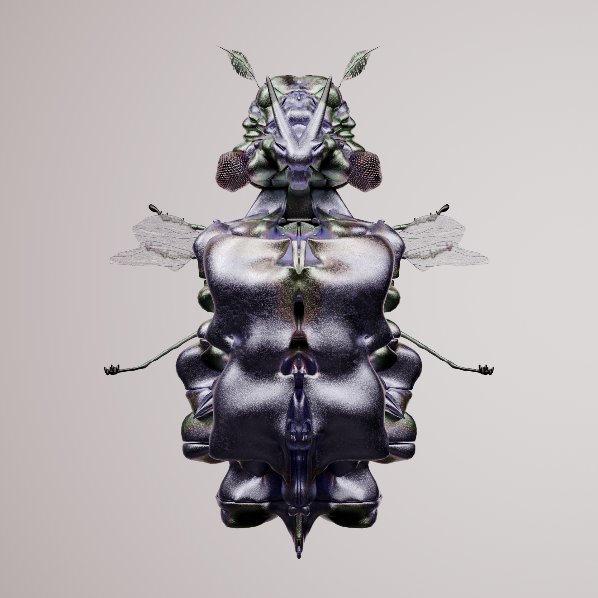 Coleopteracerritulus binynchos
