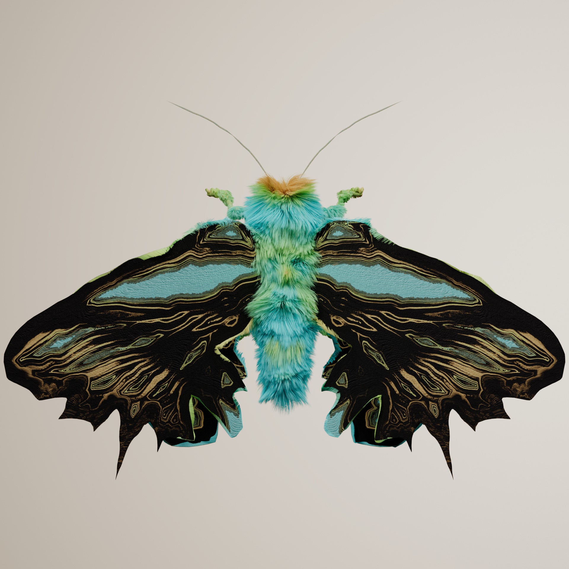 Lepidopteraur lumiens