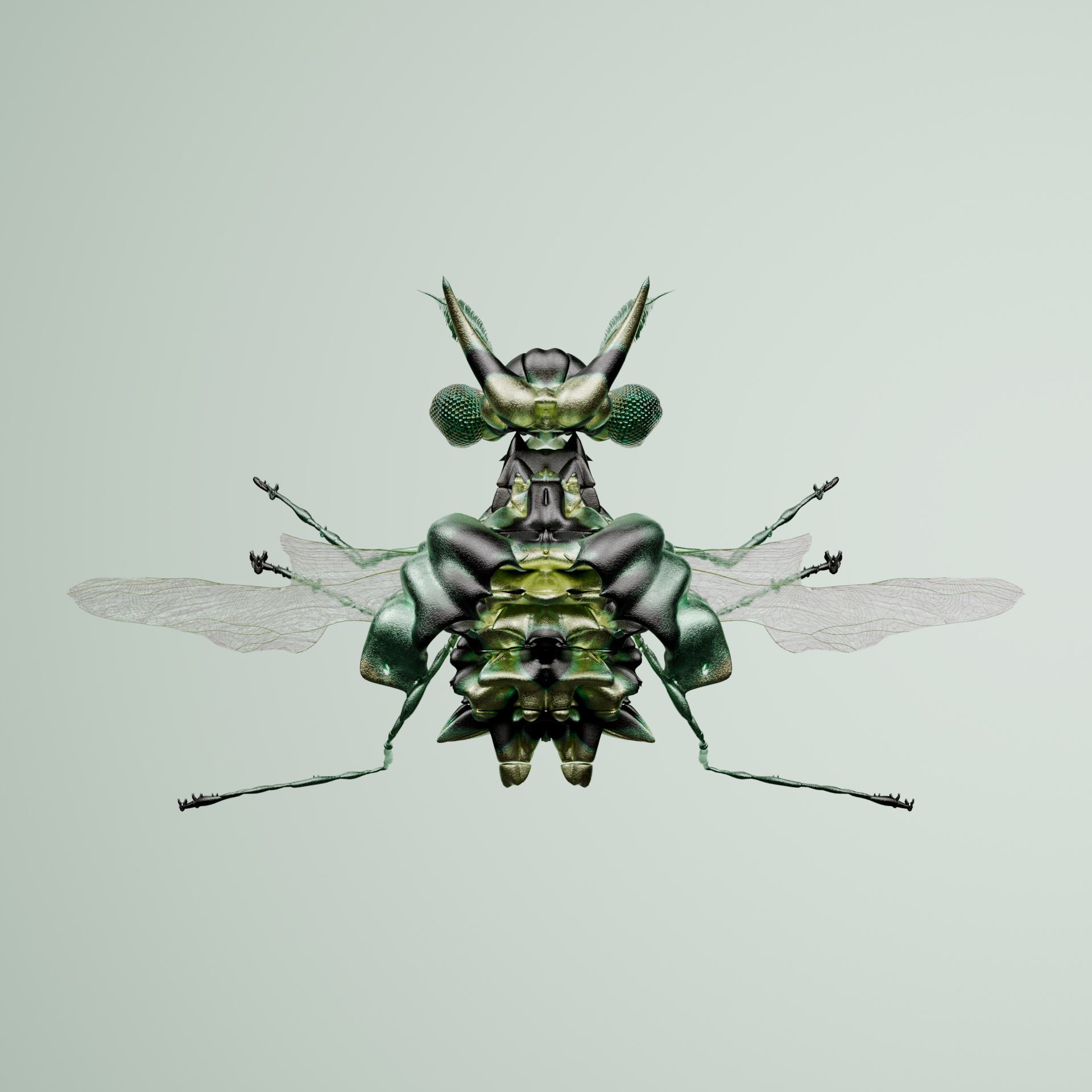 Coleopteravivida surico