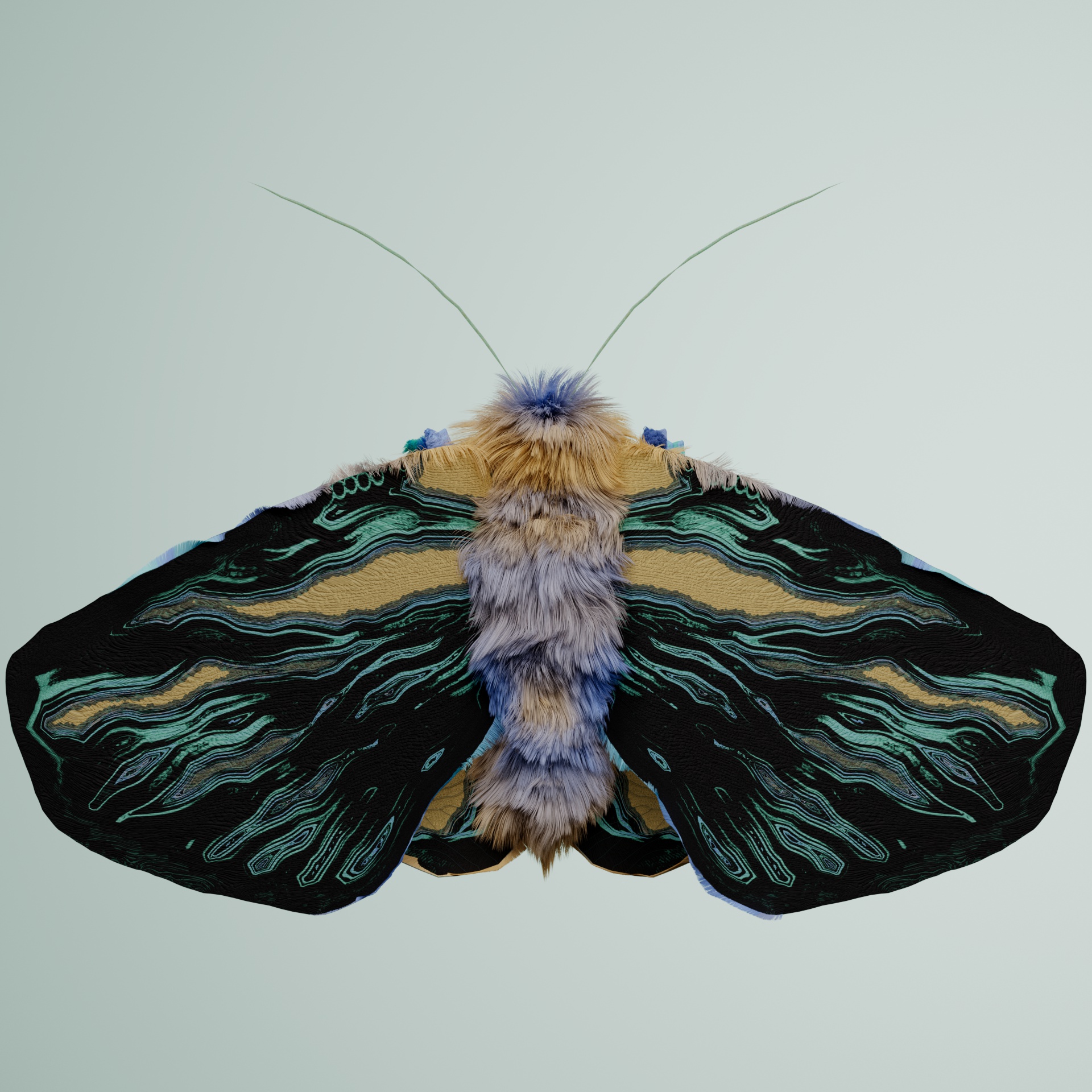 Lepidopteraproceritas hercone