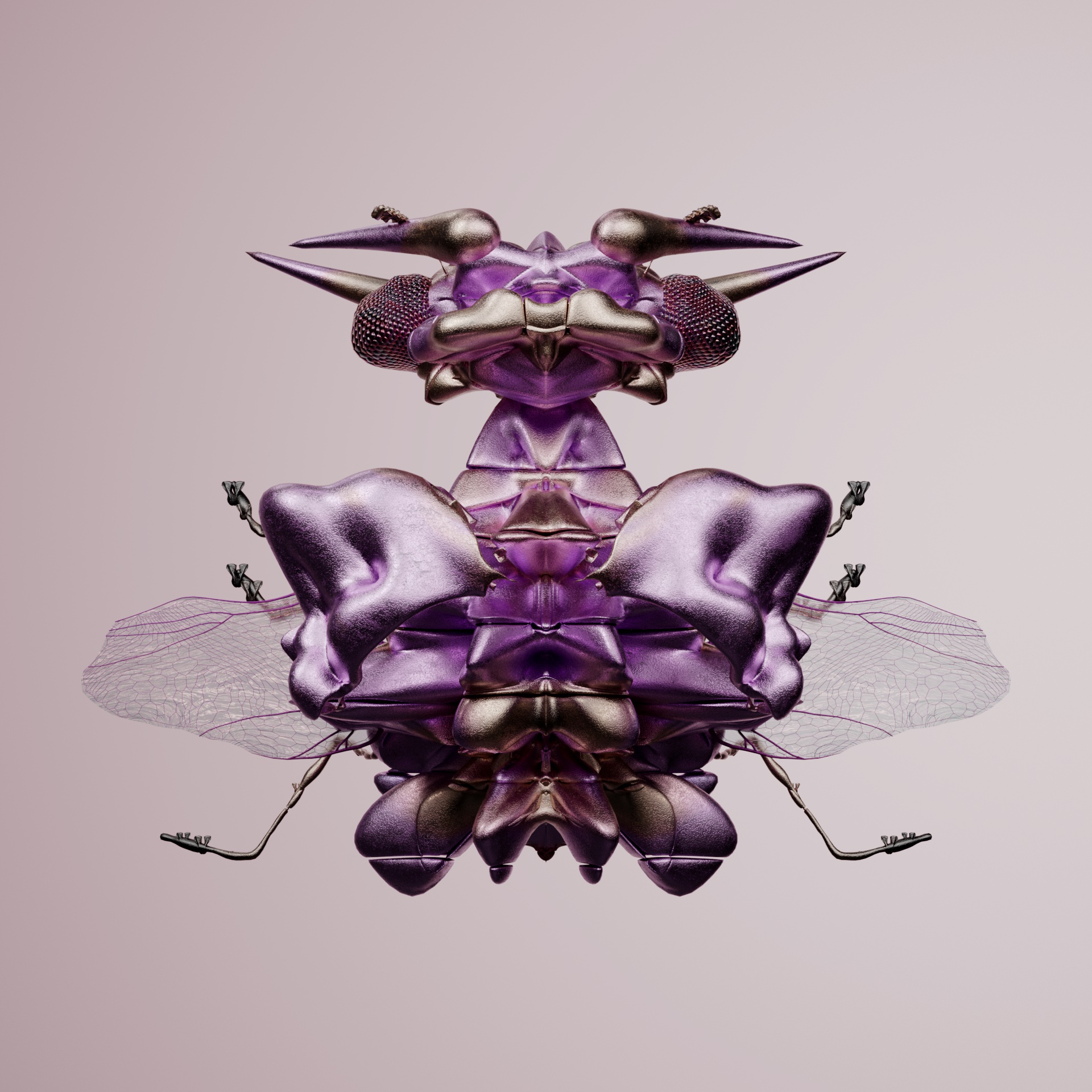 Coleopteracerritulus lototata