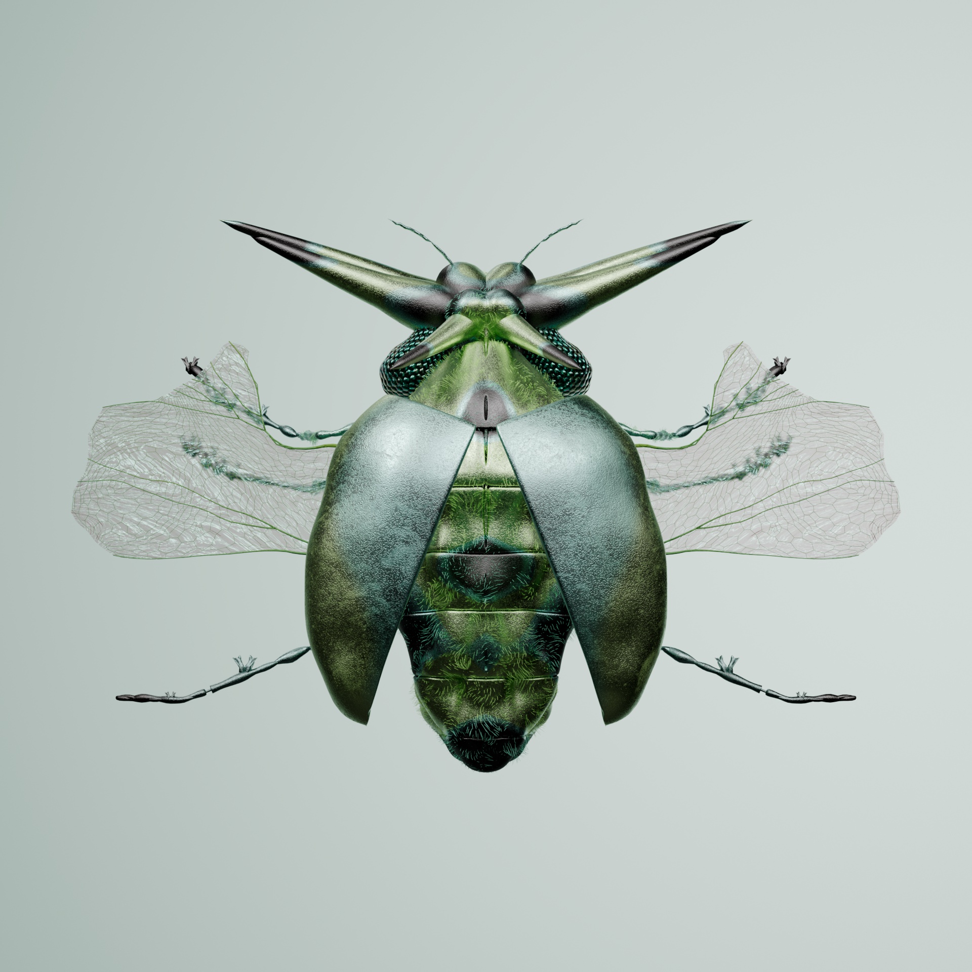 Coleopteravivida demidus
