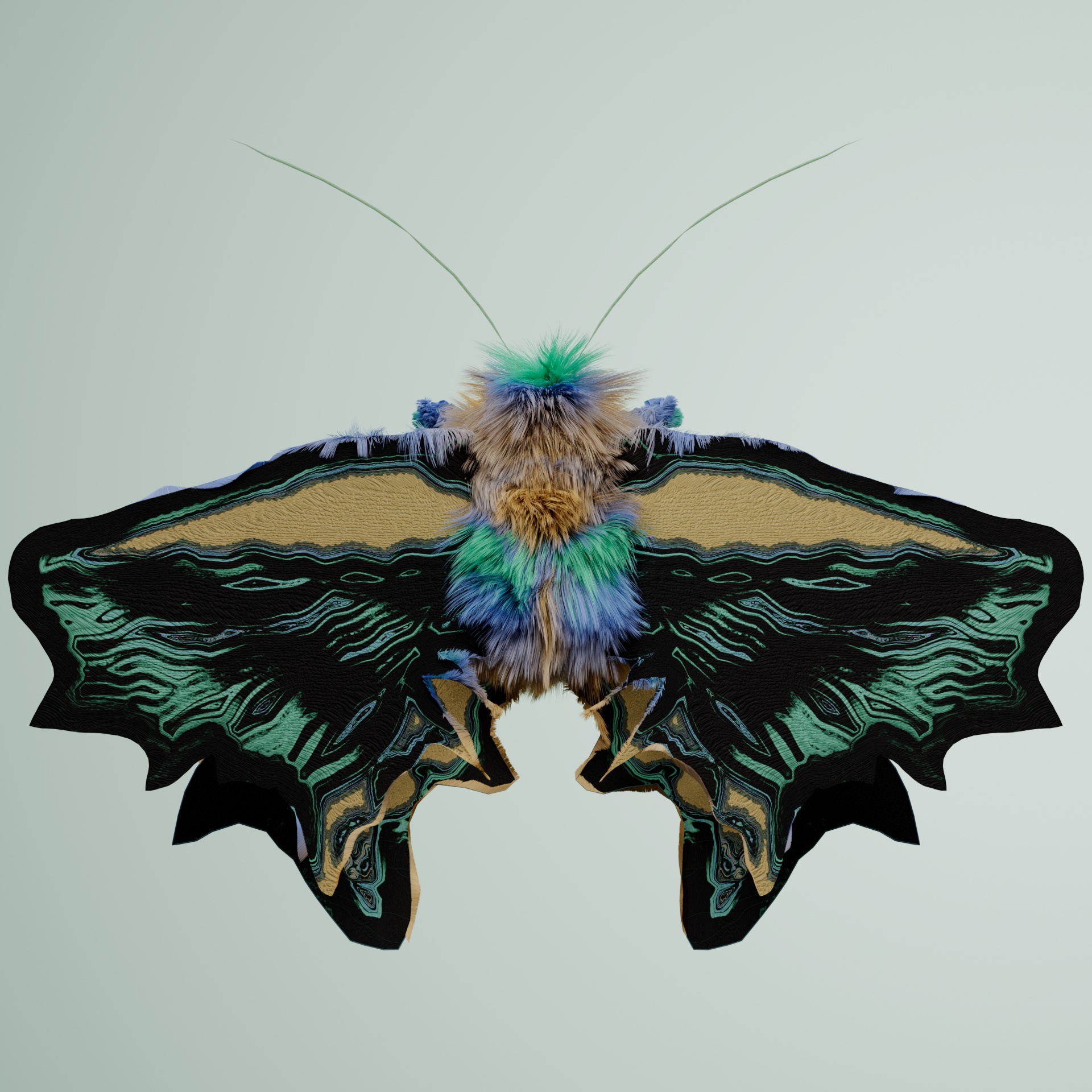 Lepidopterapinguis delicas