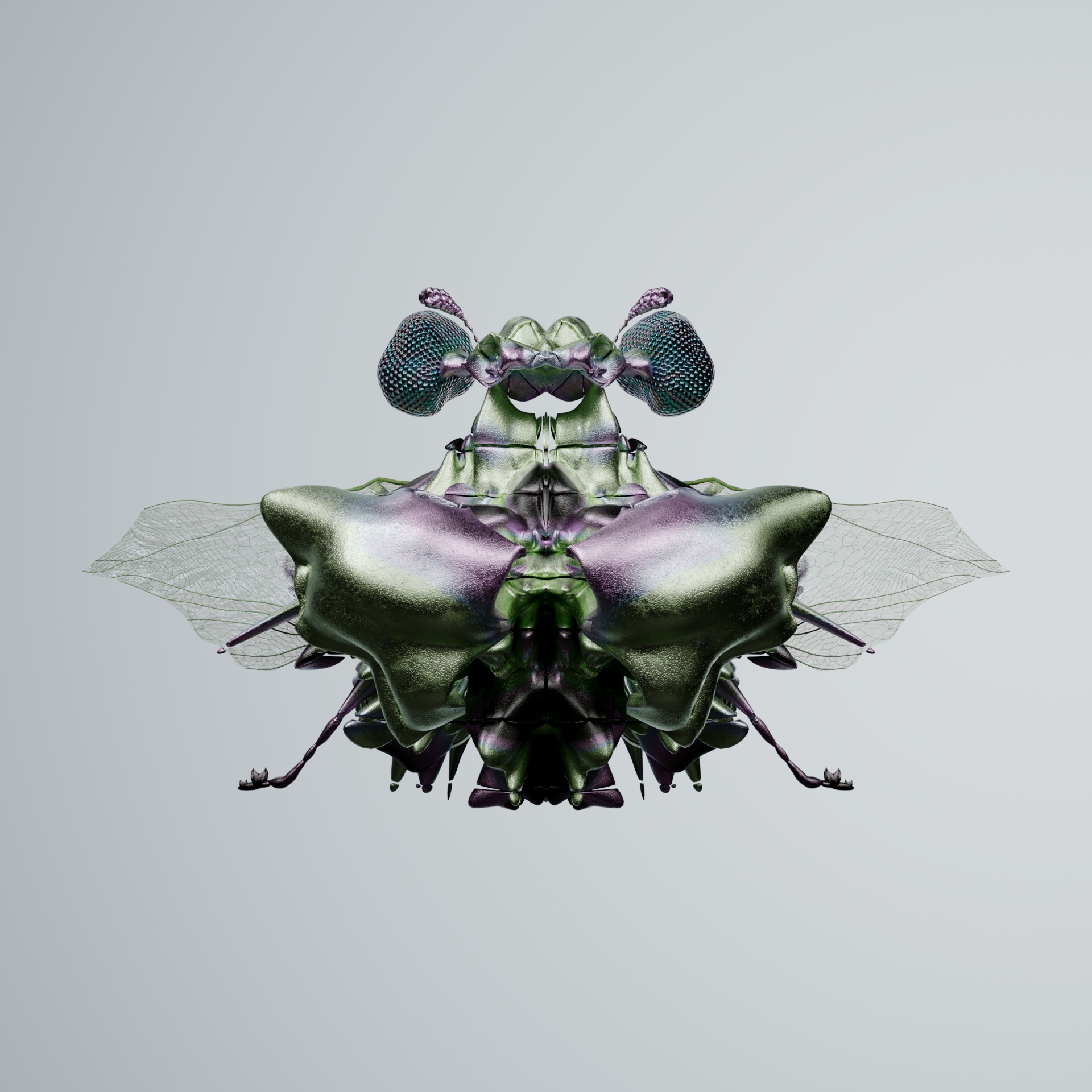 Coleopteracerritulus axelriensis