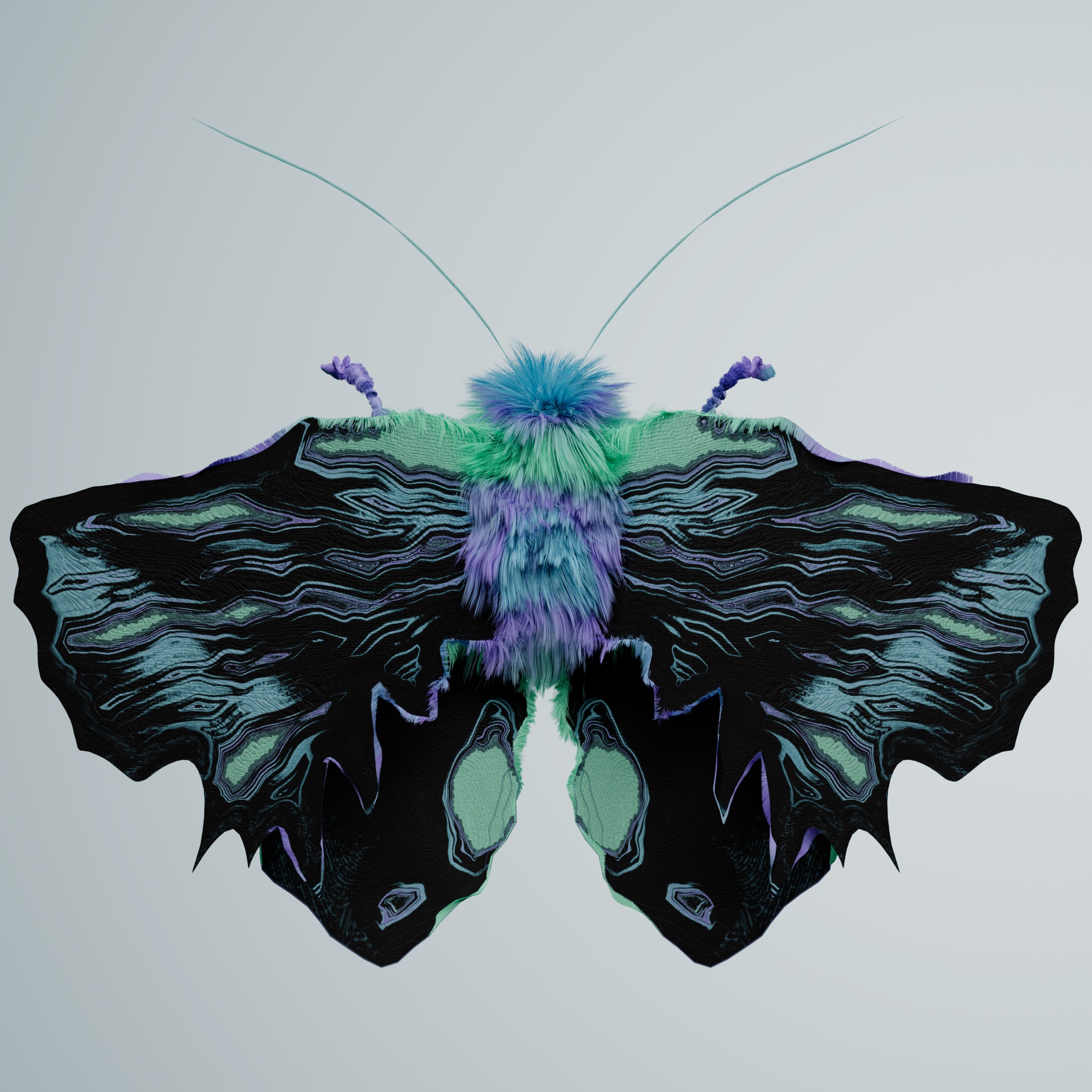 Lepidopteraachia iguaniae