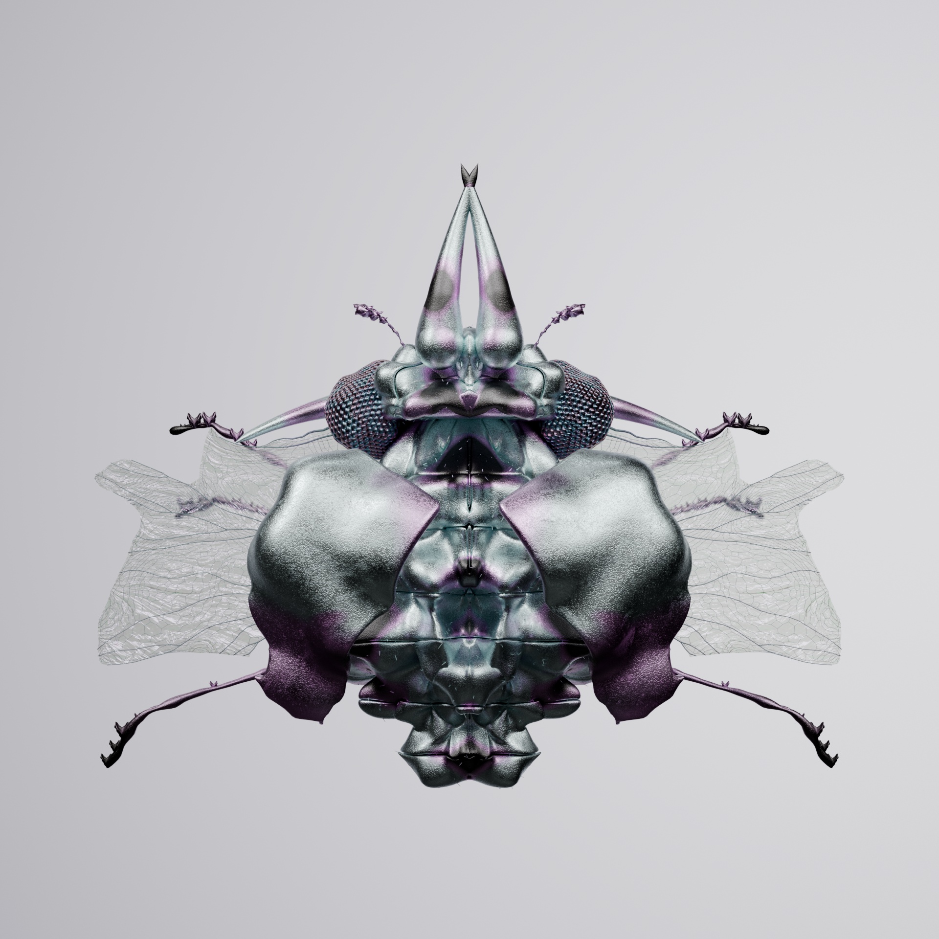 Coleopteravivida nodiacus