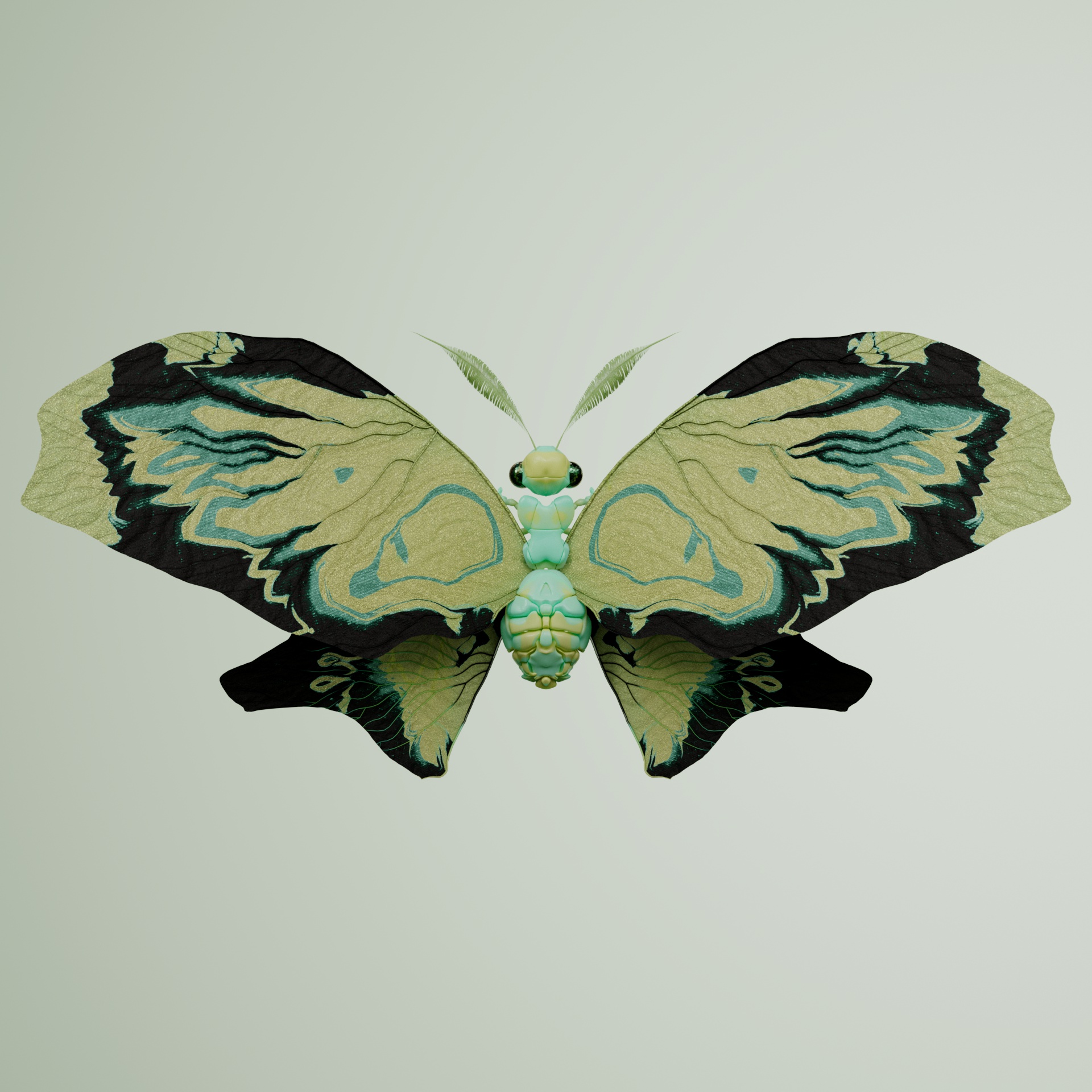 Rhopaloceravivida iguaniae