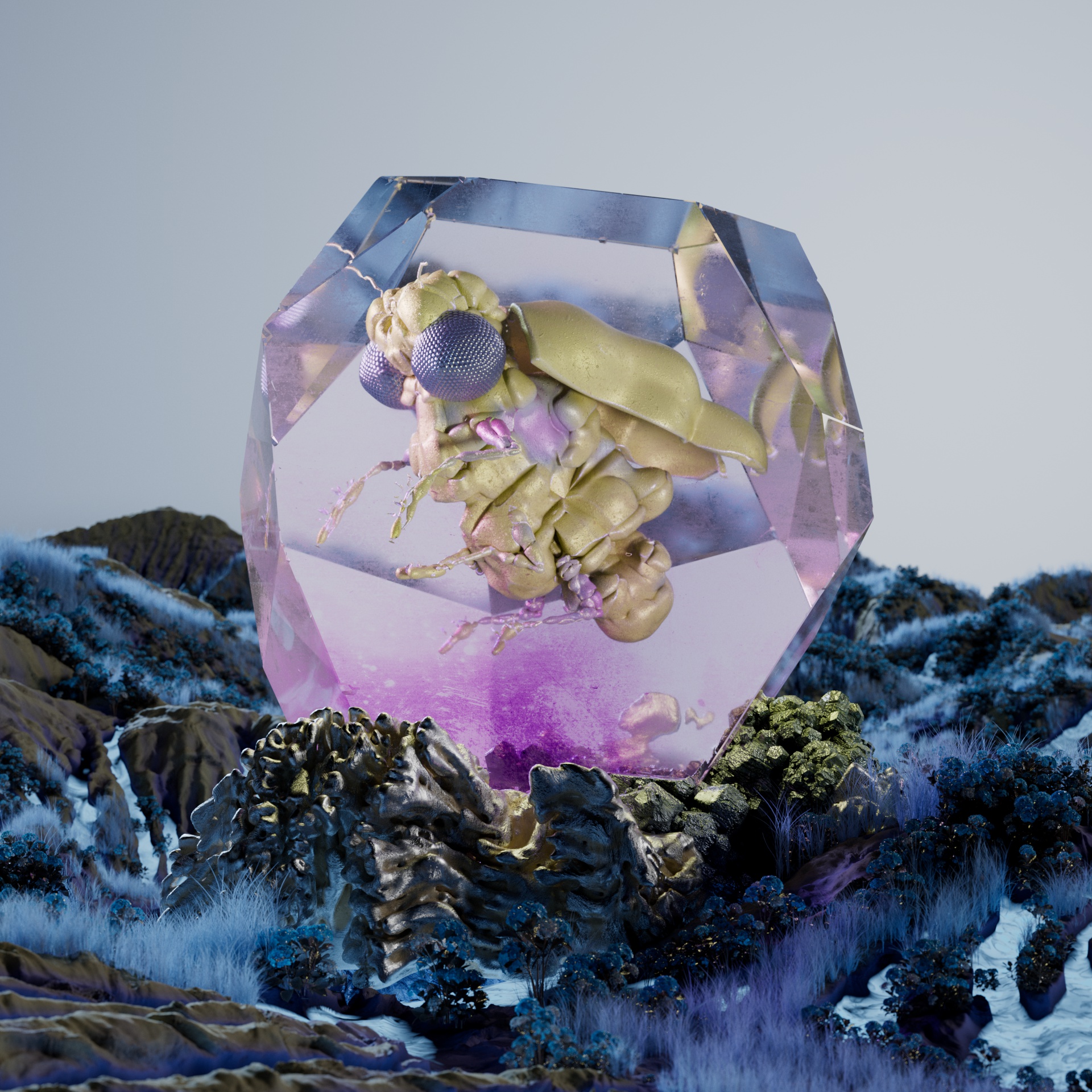 Rhopaloceraochelys laevereri