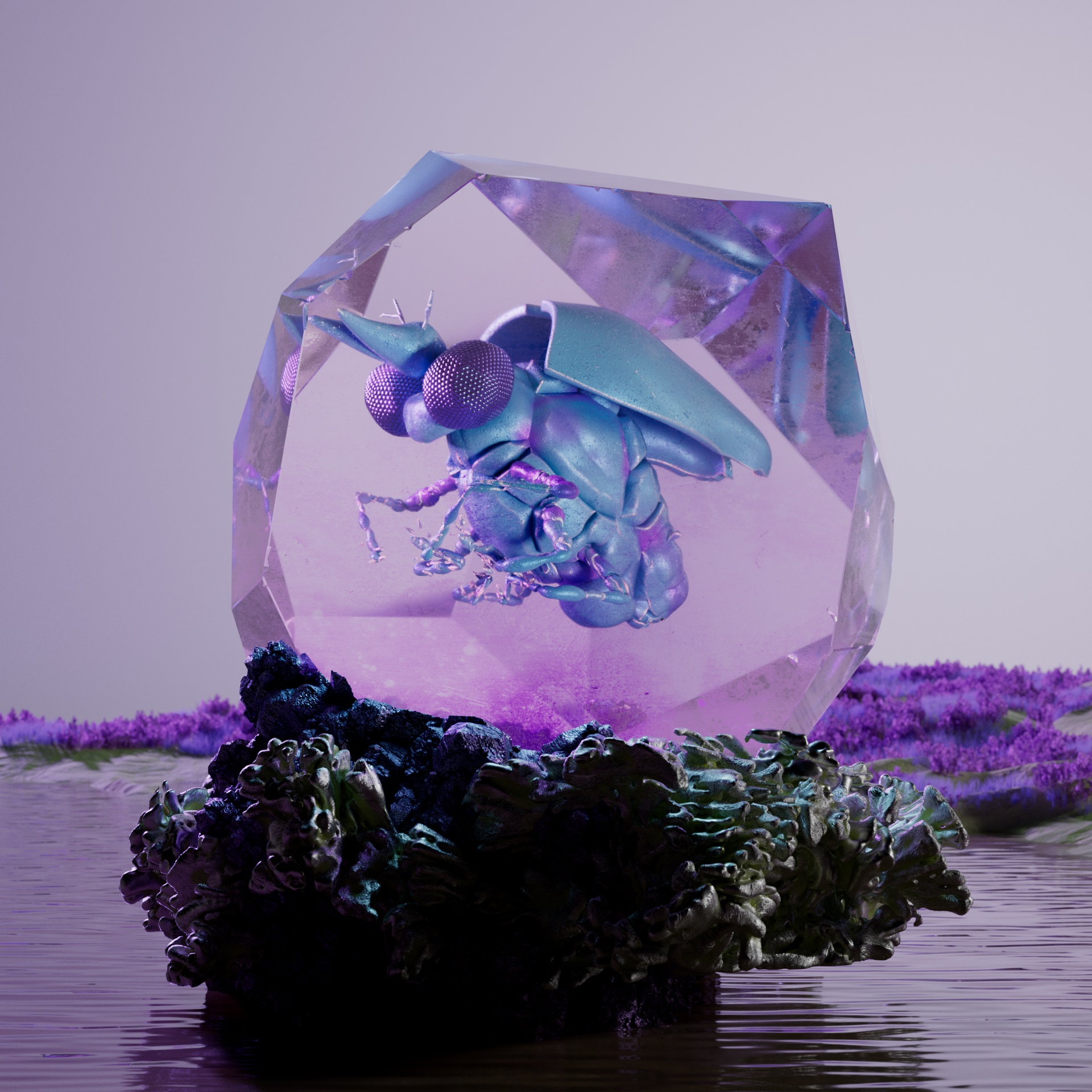 Rhopaloceraarctos laevani