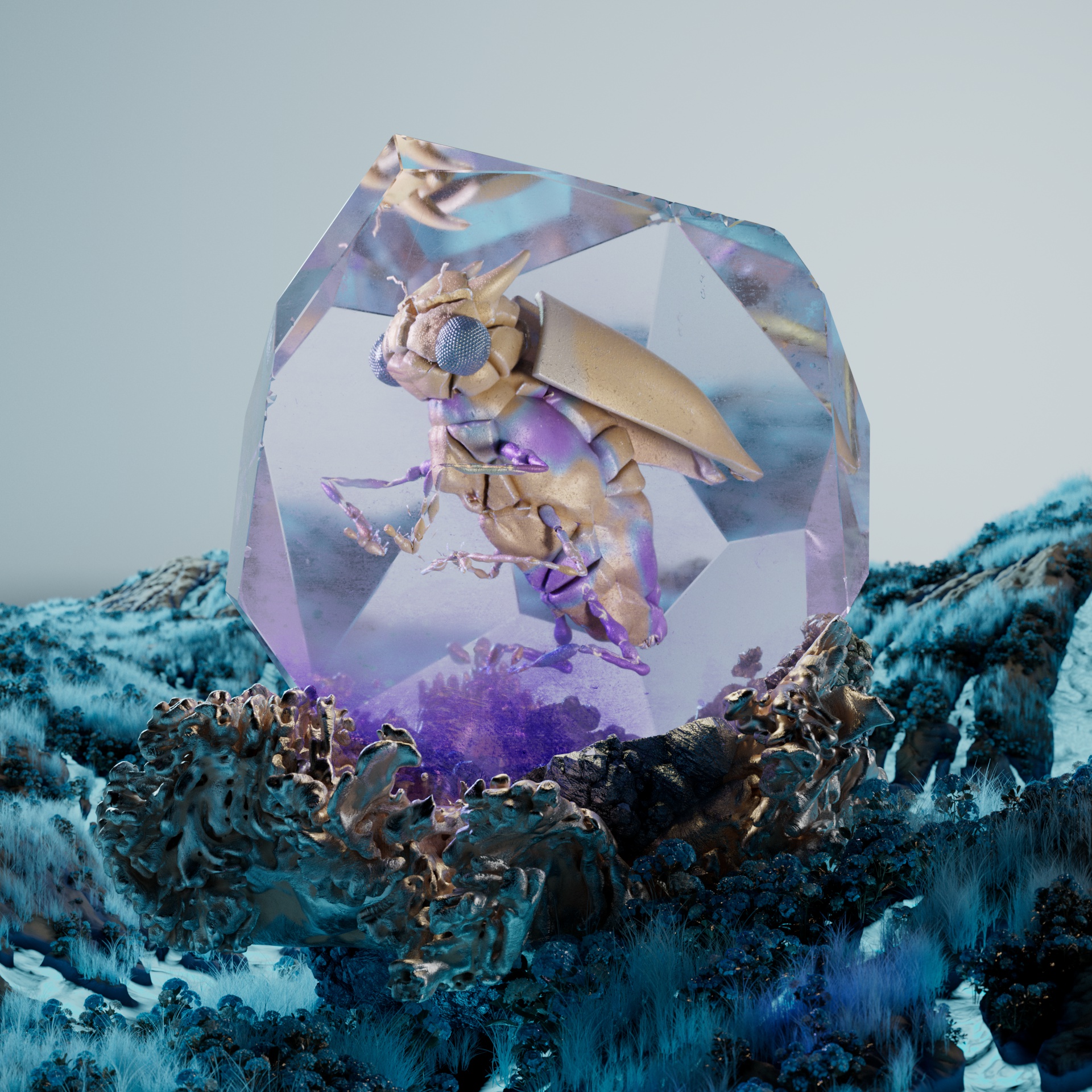 Anisopterainoidea cirronii