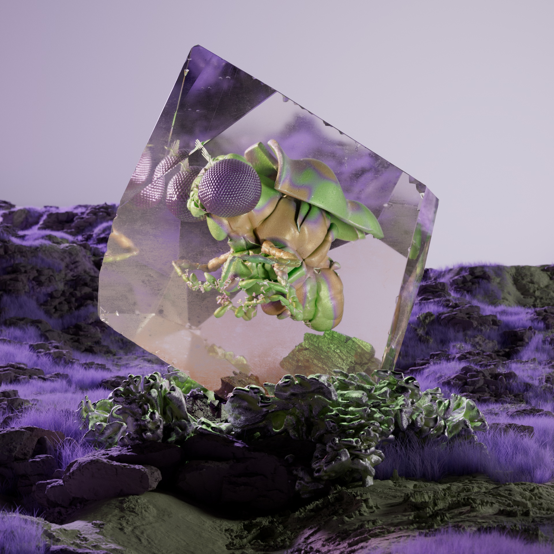 Lepidopteraogale gallani