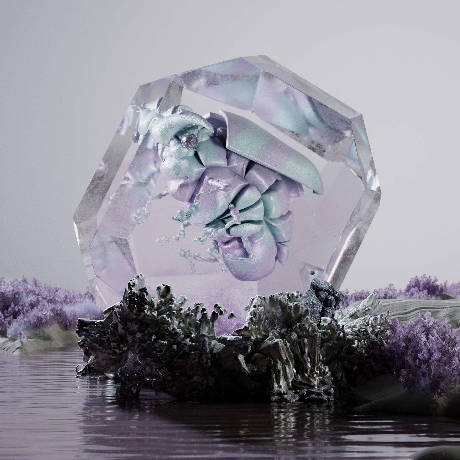 Rhopaloceravivida johnsticeros