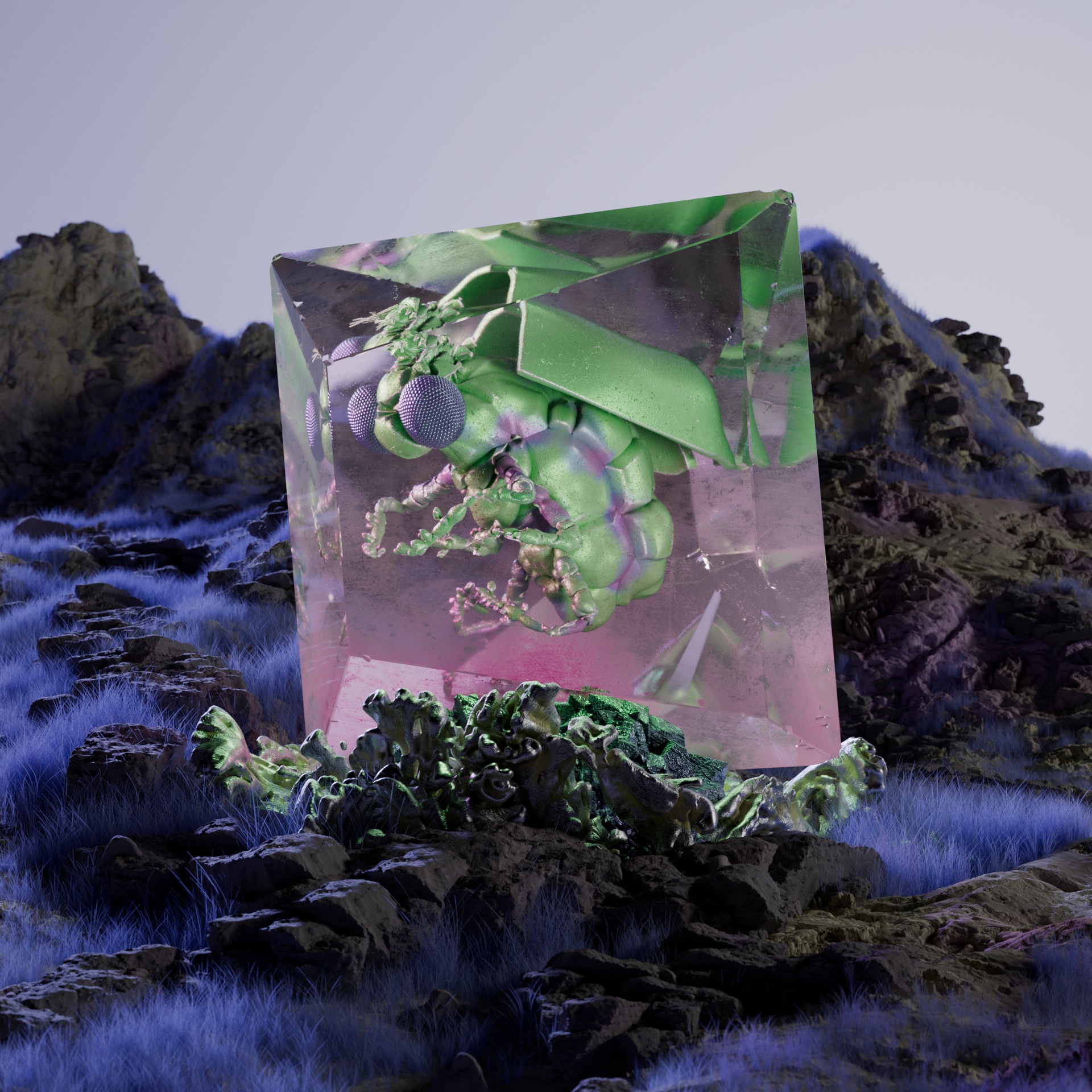 Coleopteraathus eqitimus